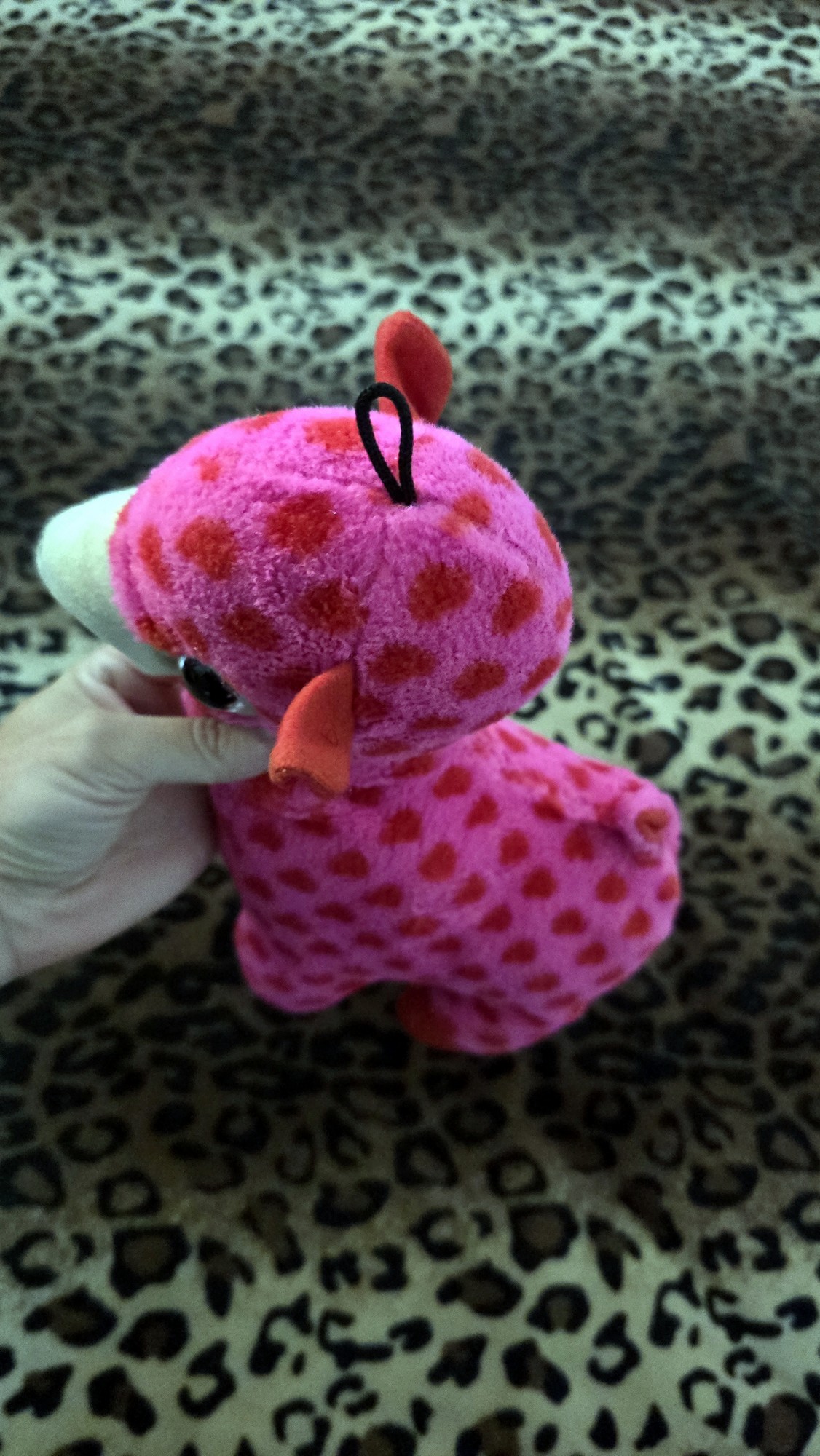 20260204_172932 (Copy)