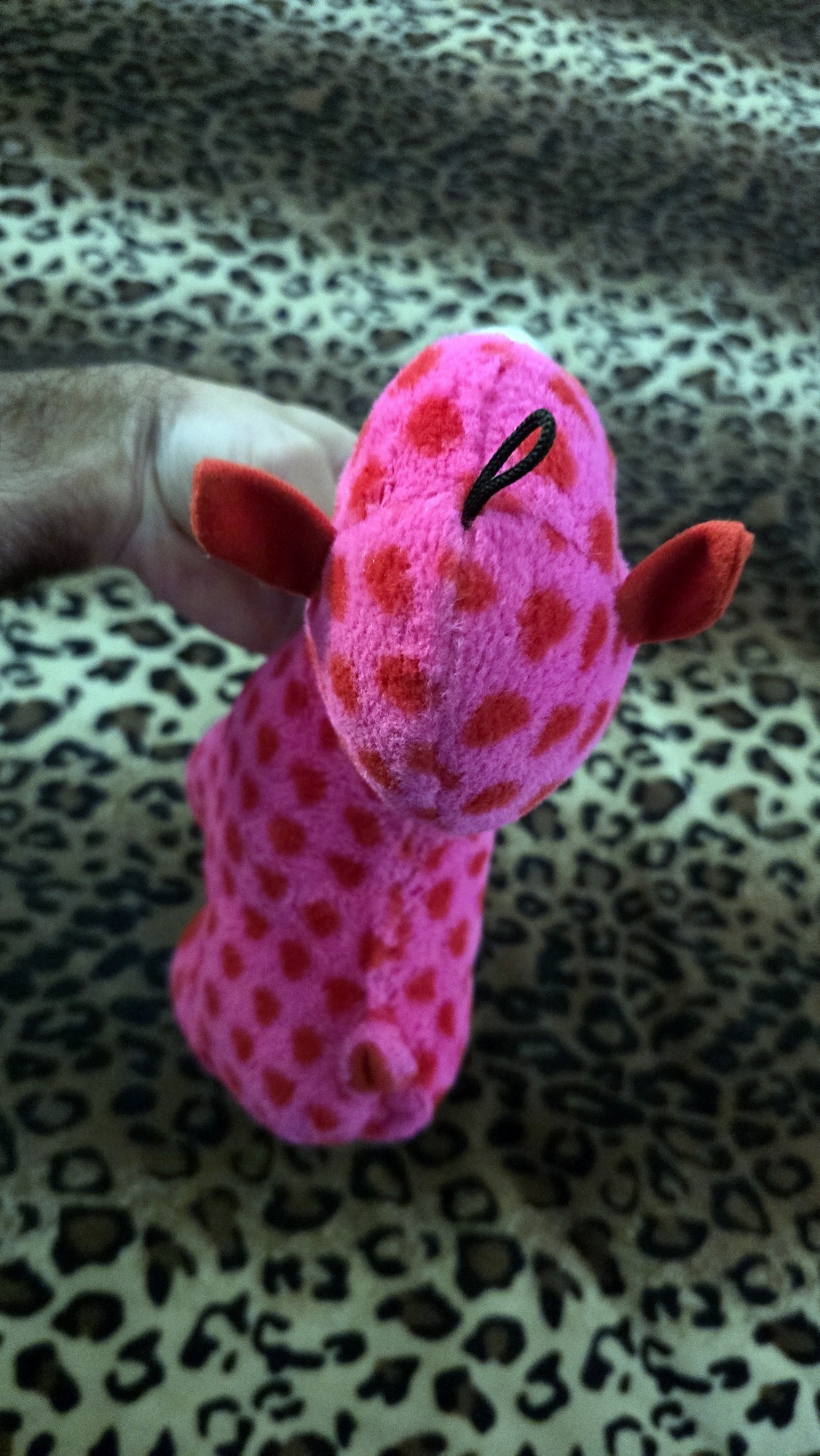 20260204_172934 (Copy)