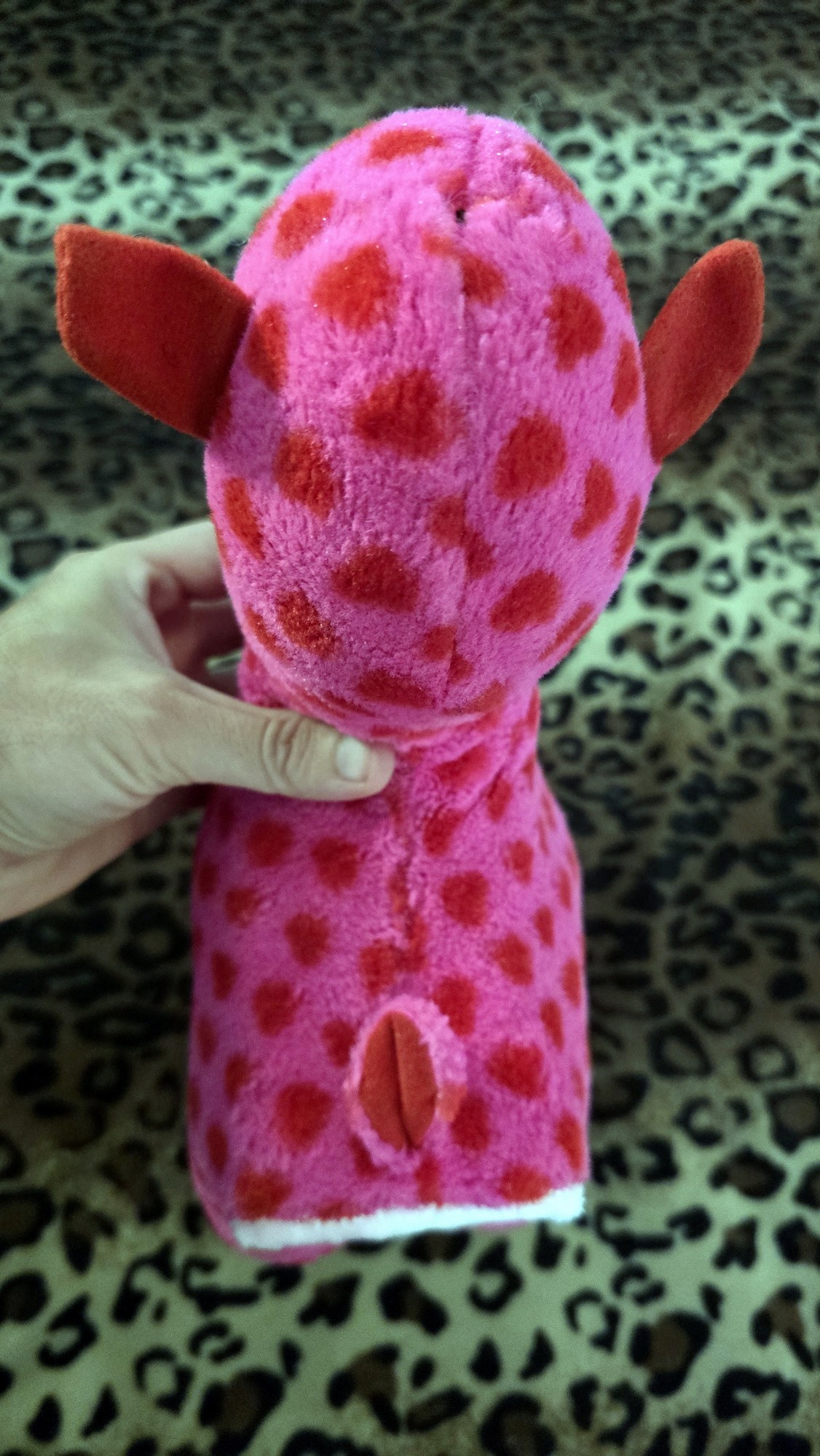 20260204_213254 (Copy)