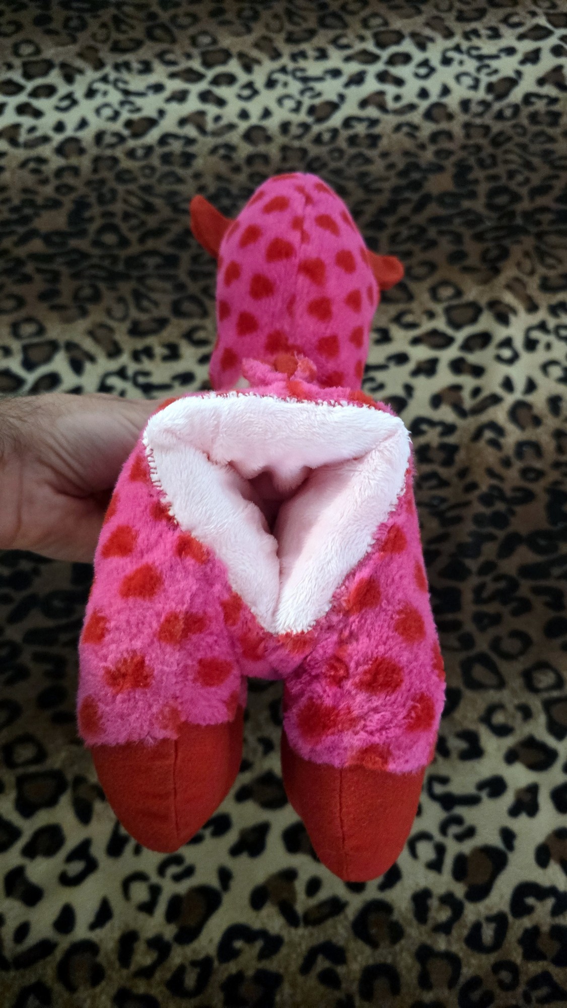 20260204_213259 (Copy)