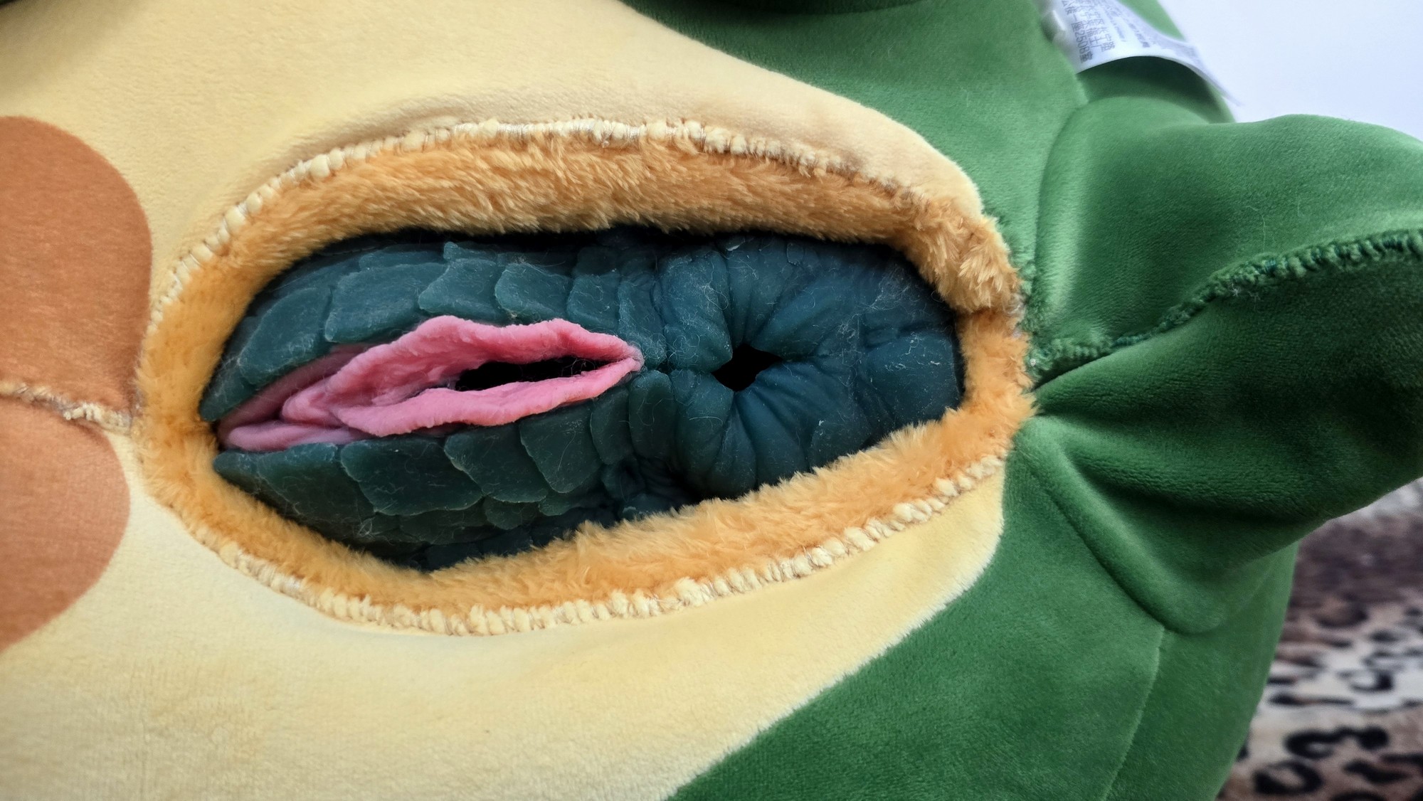 20260210_151644(0) (Copy)