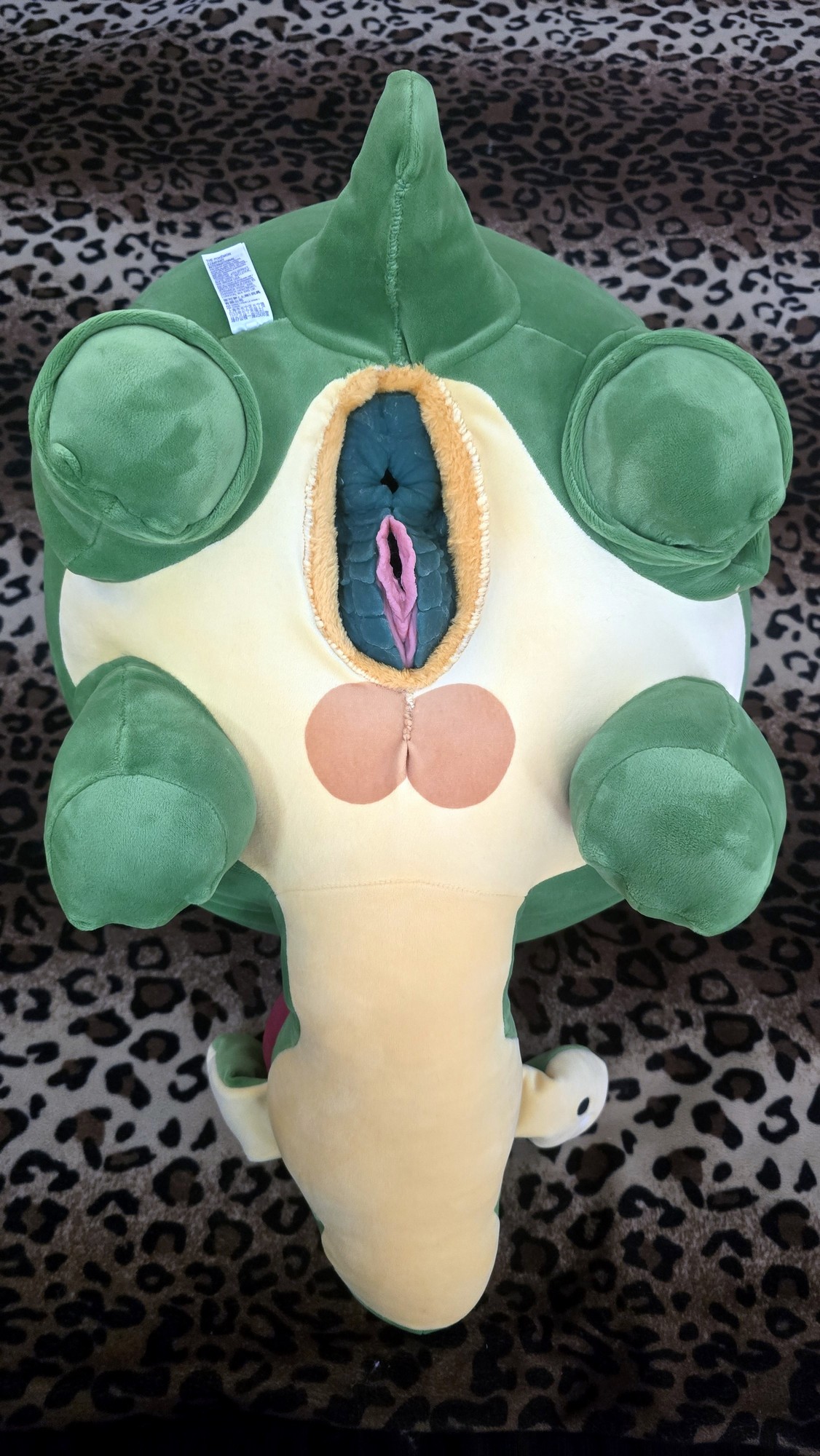 20260210_151703 (Copy)