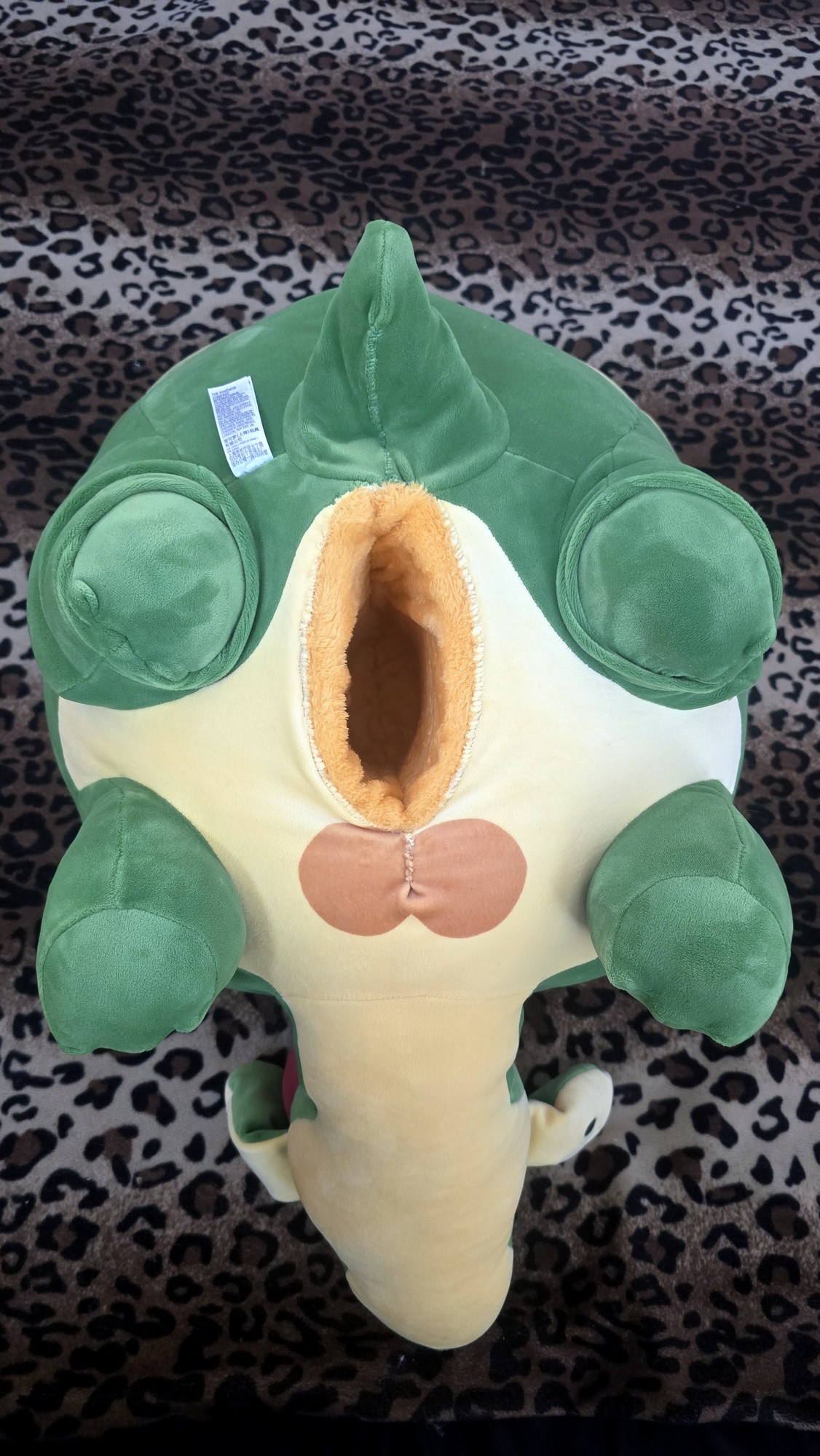 20260210_151905 (Copy)