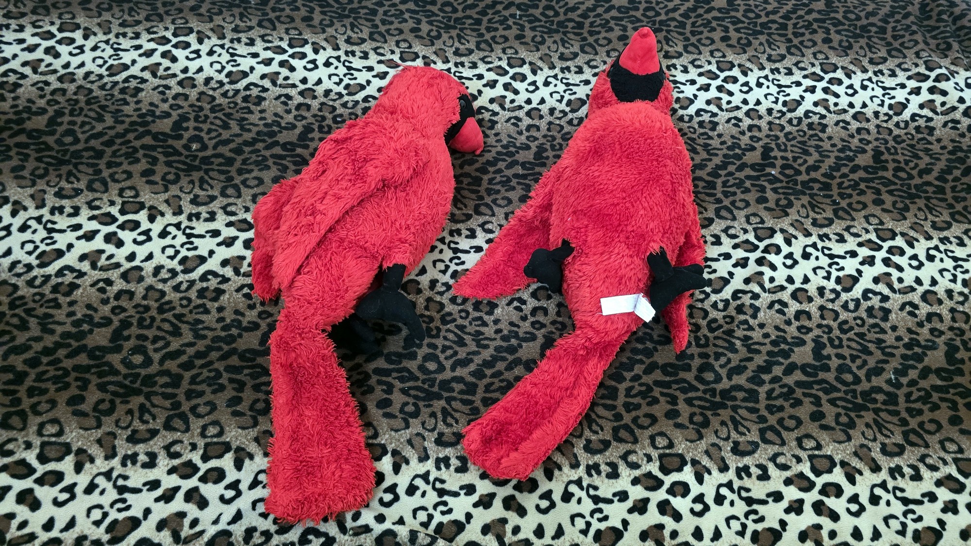 20260210_152356 (Copy)