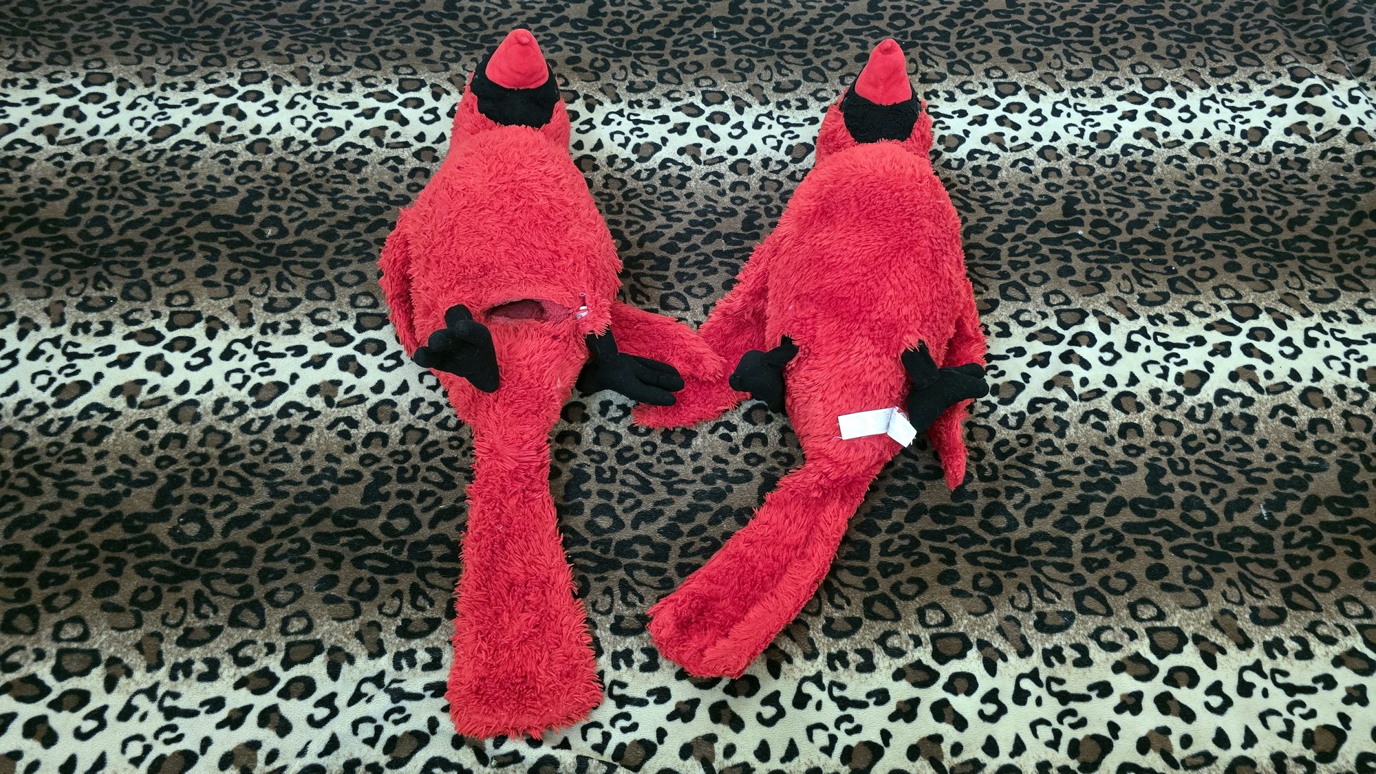 20260210_152404(0) (Copy)