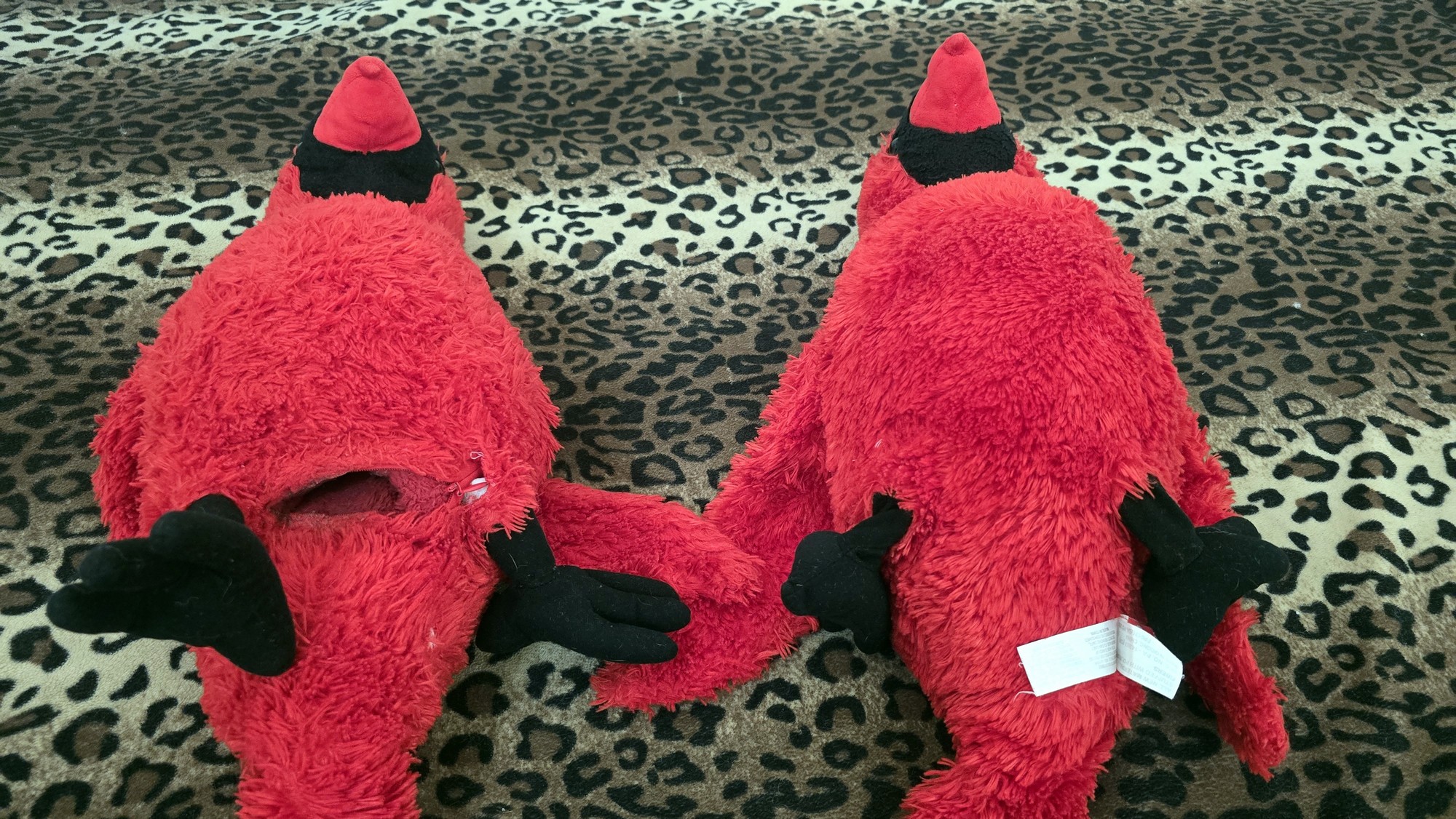 20260210_152409 (Copy)