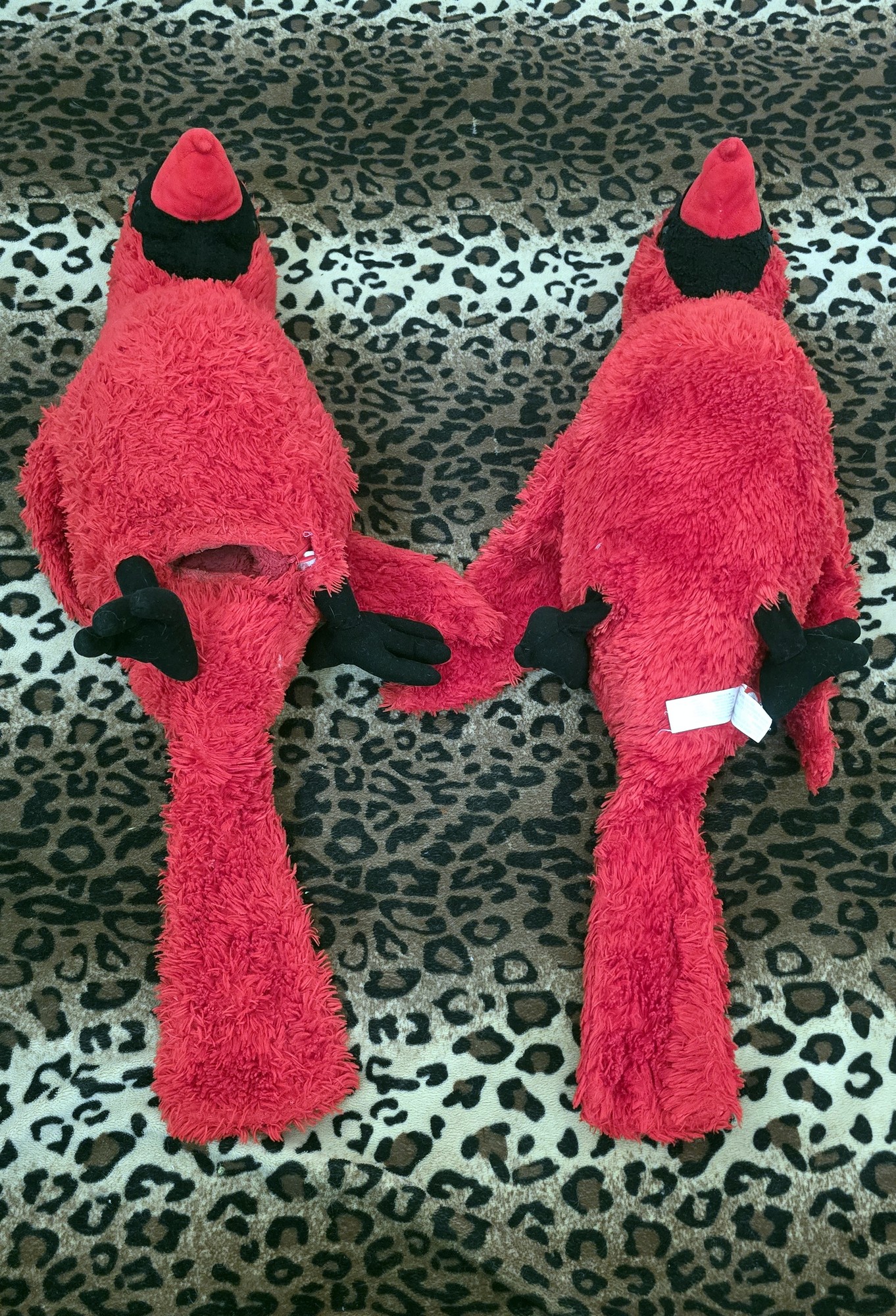 20260210_152416 (Copy)