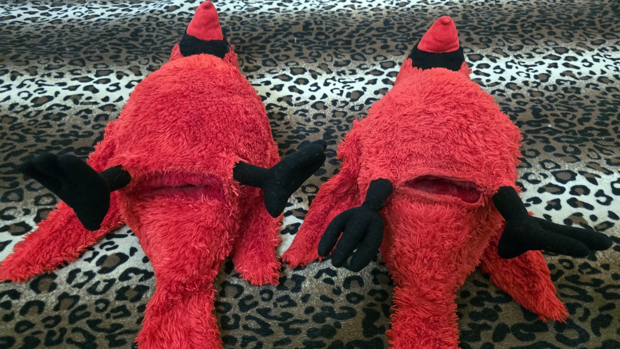 20260210_215248 (Copy)