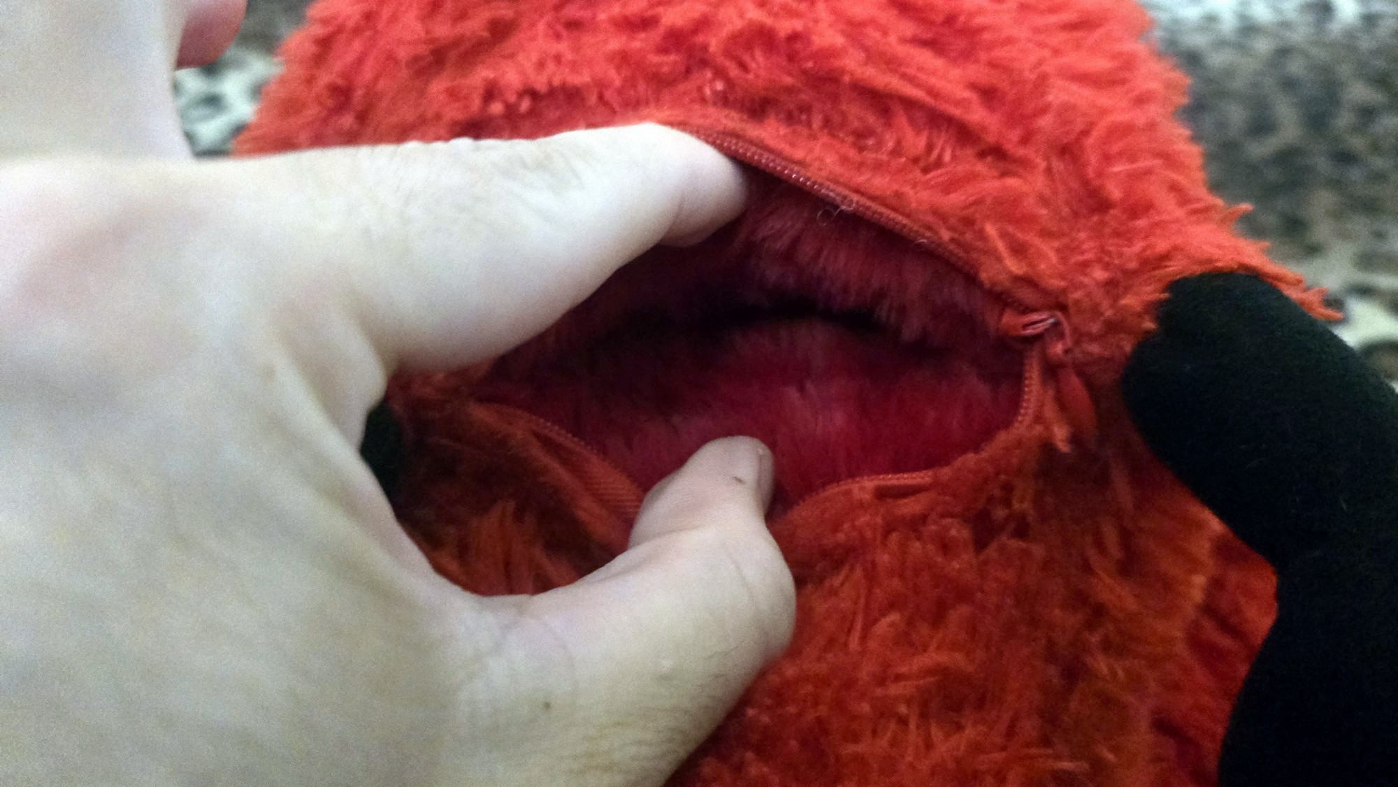 20260210_215255 (Copy)