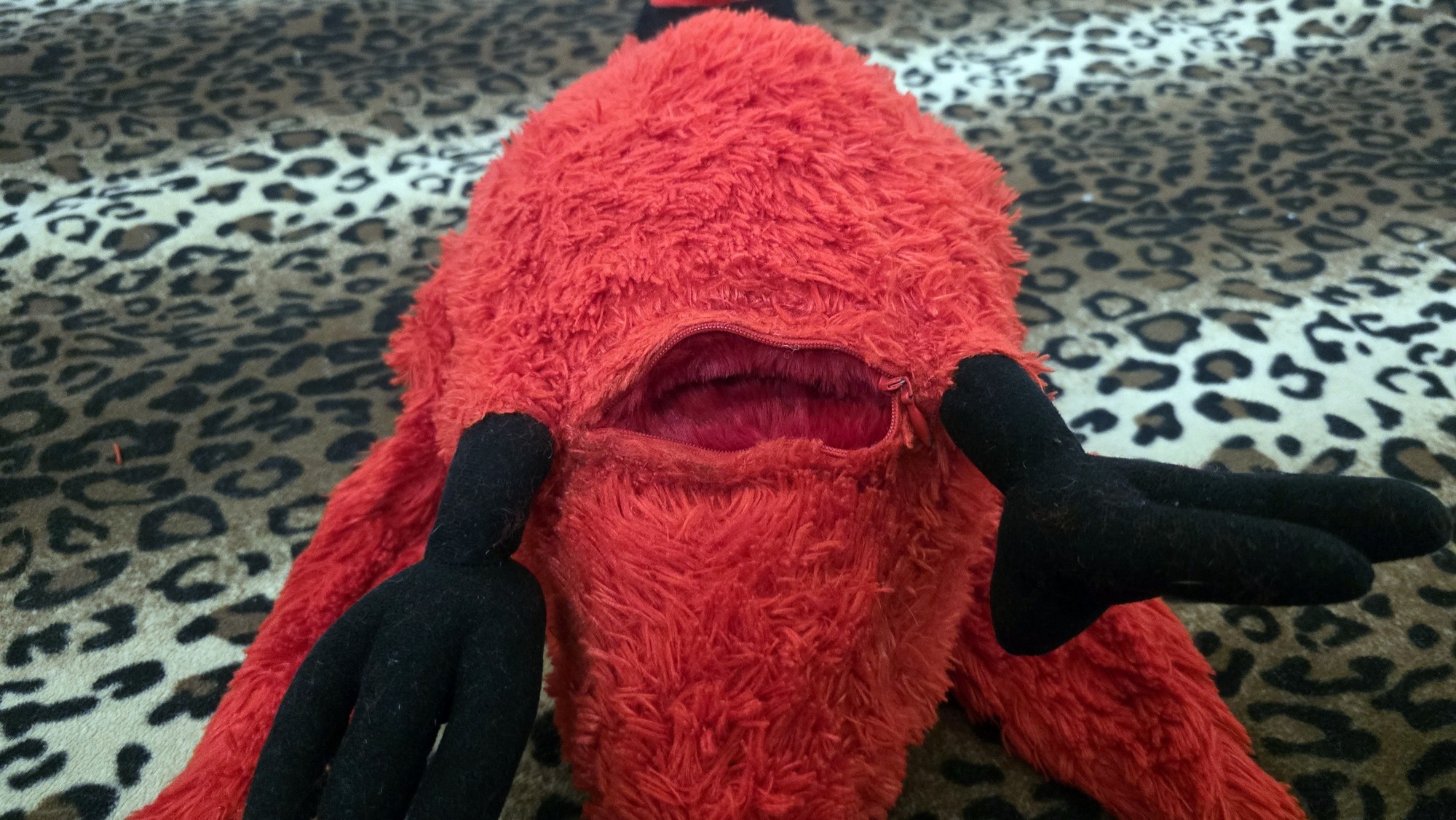 20260210_215331(0) (Copy)