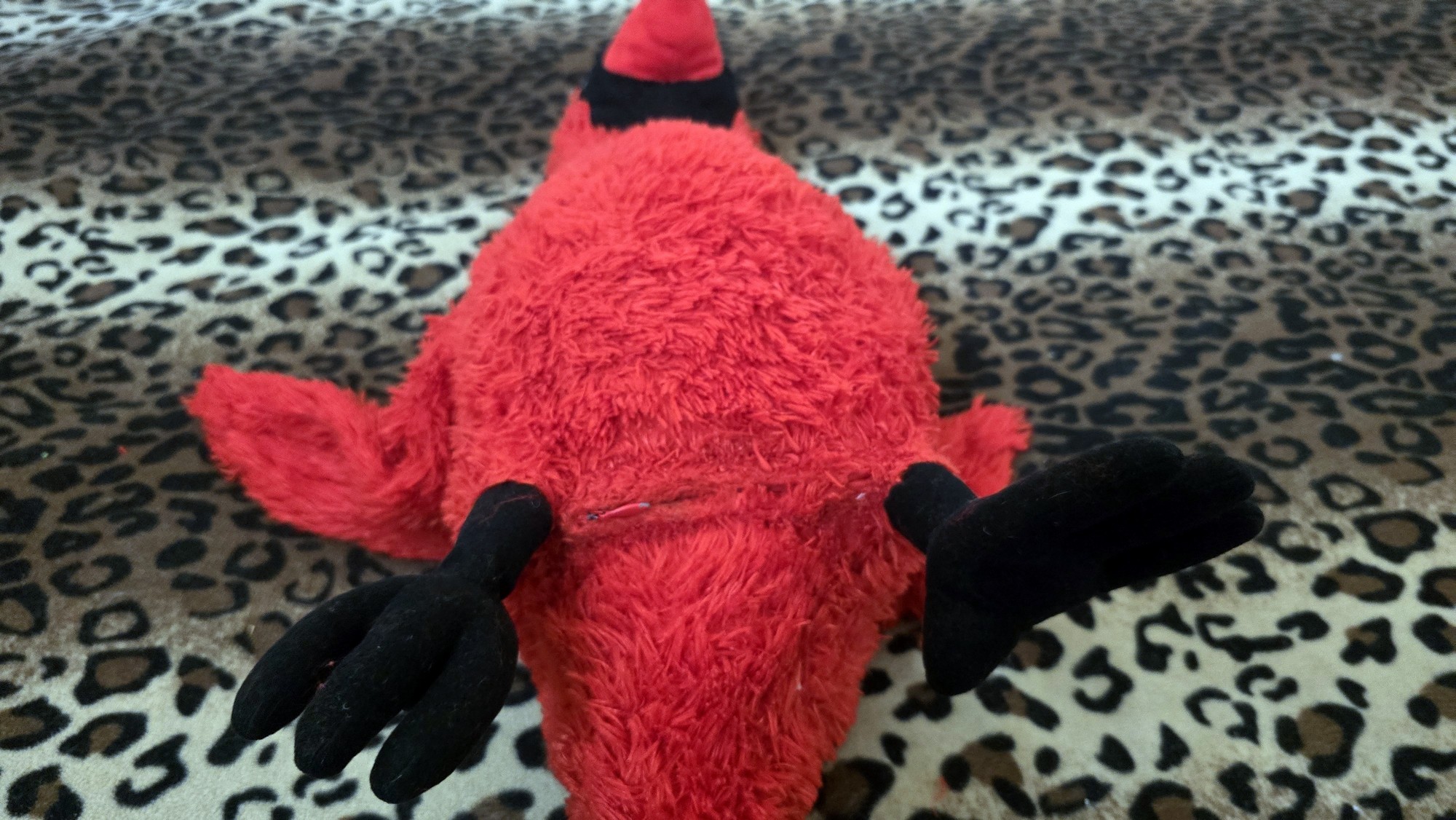 20260210_215351 (Copy)