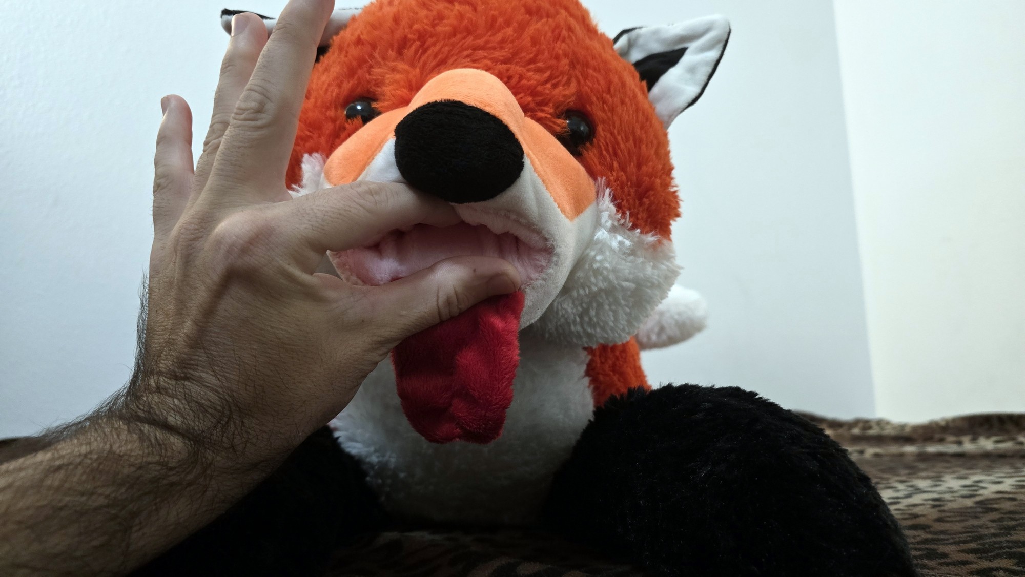 20260211_104631 (Copy)