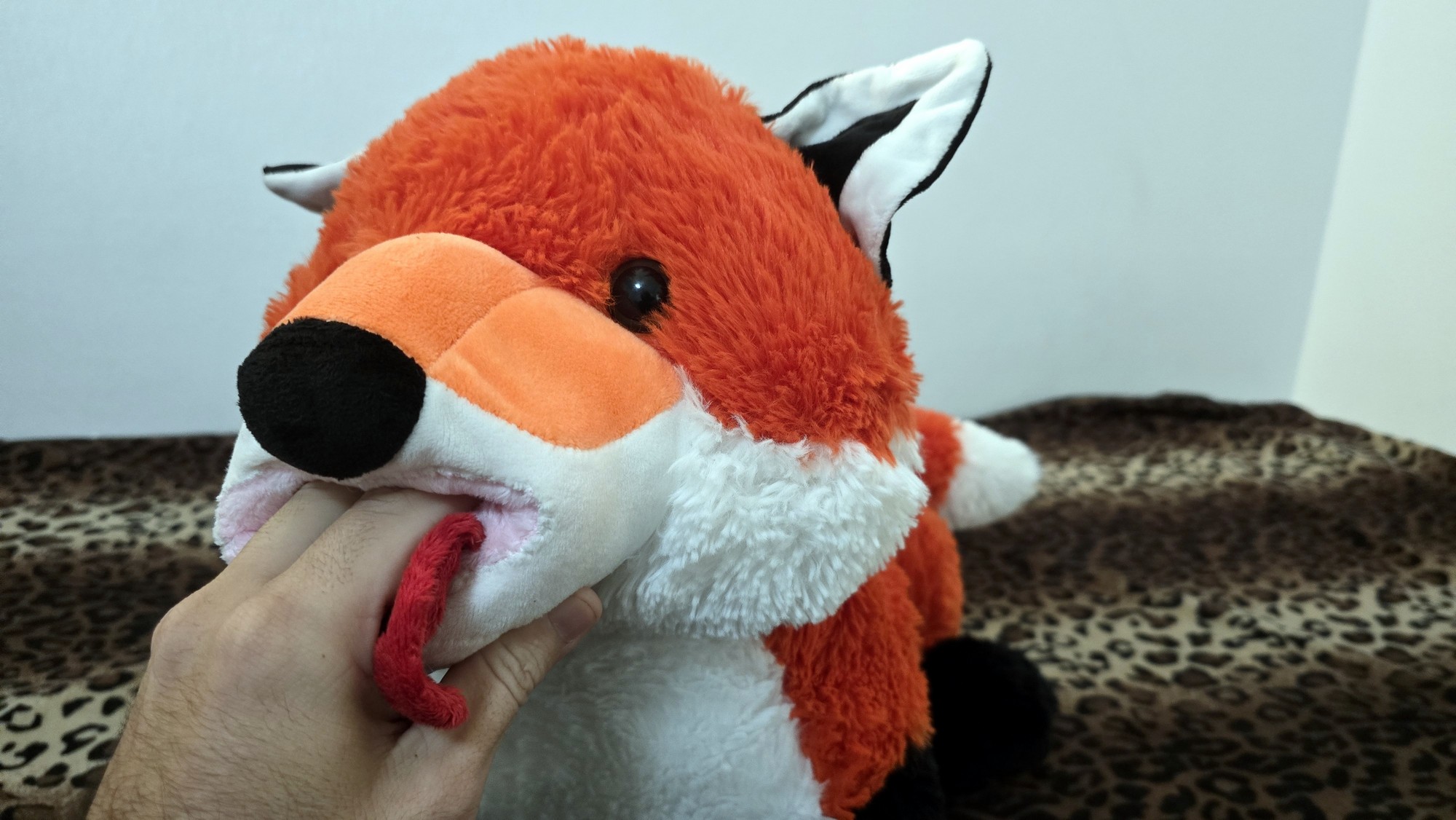 20260211_104641 (Copy)