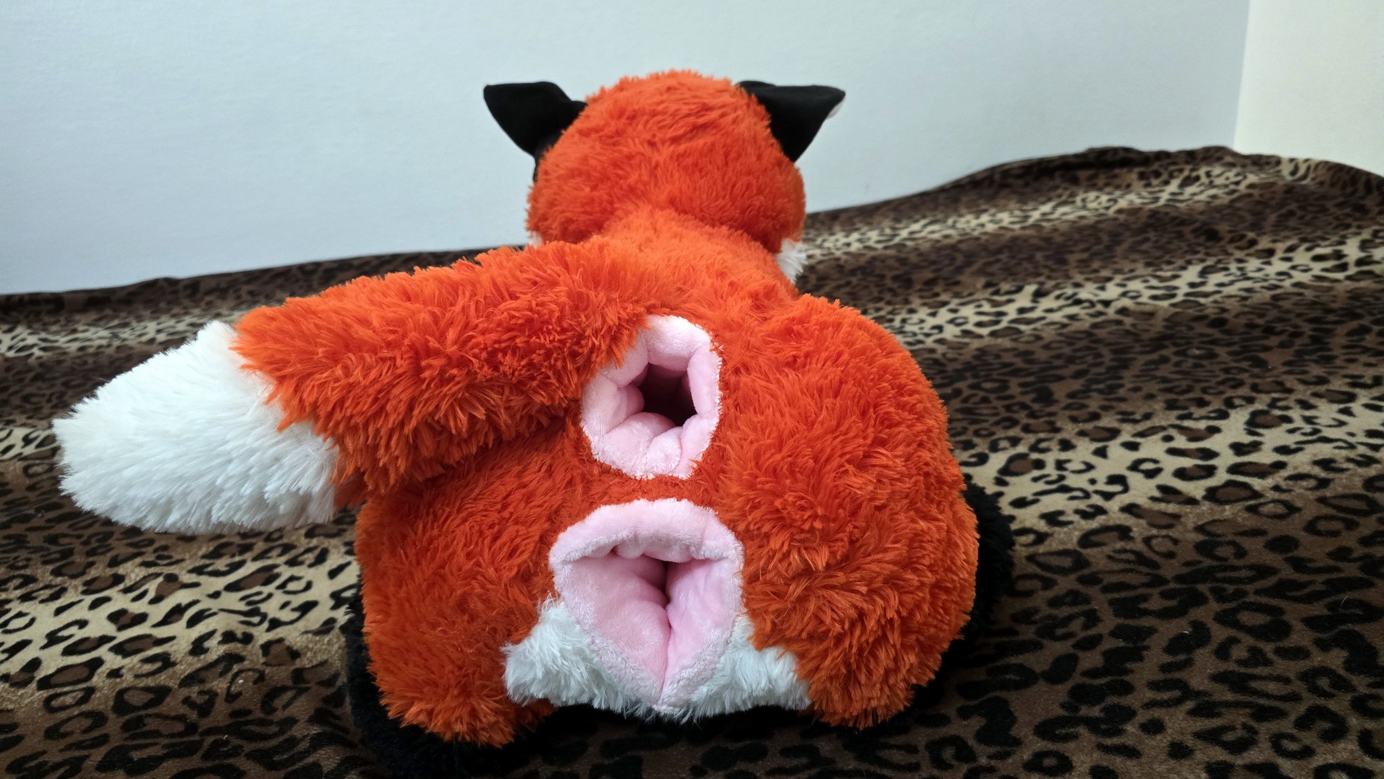 20260211_104704 (Copy)