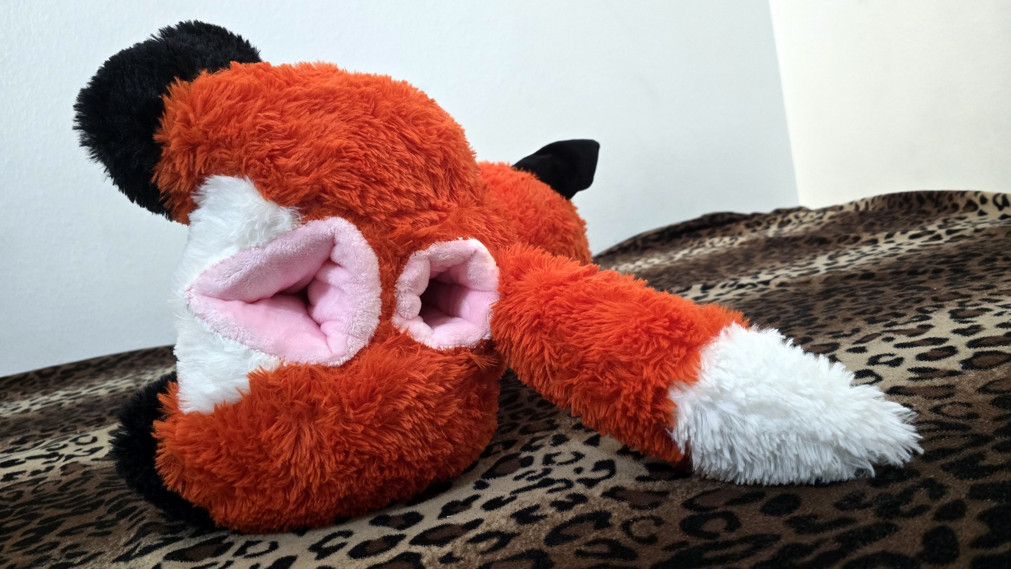 20260211_104730 (Copy)