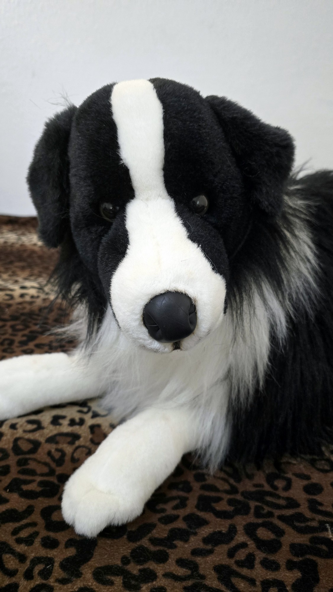 20260211_105527 (Copy)