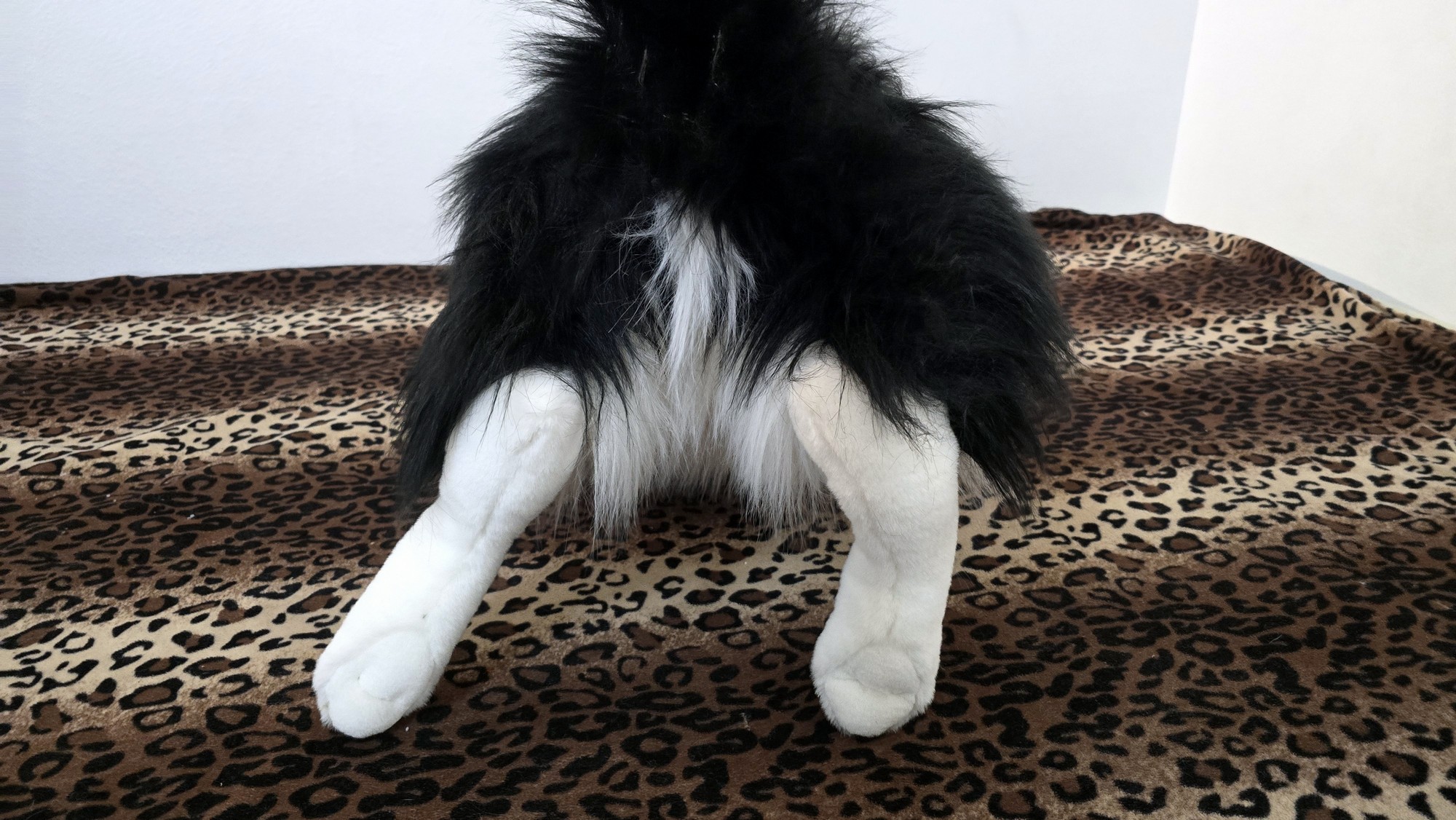 20260211_105541(0) (Copy)