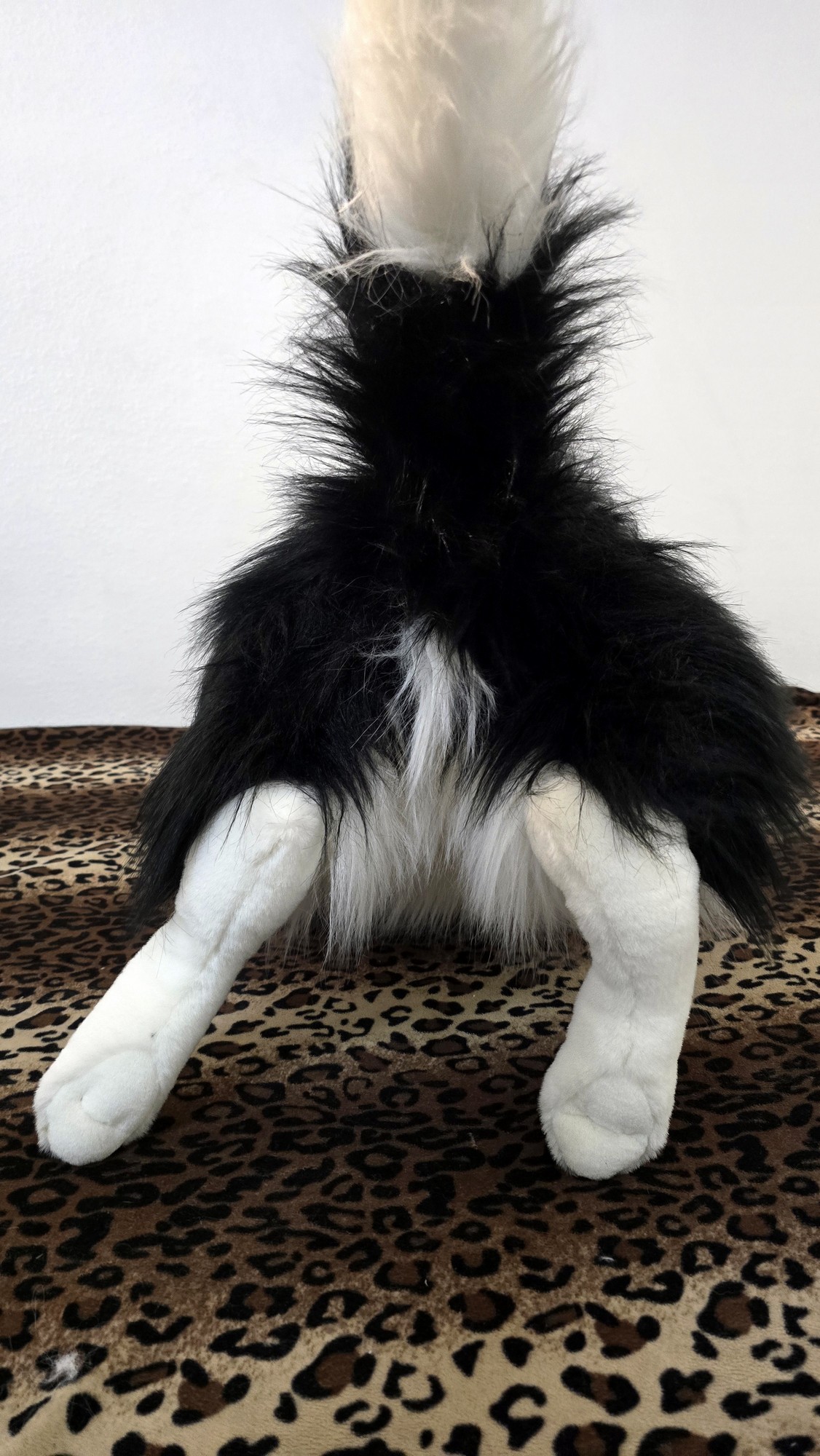 20260211_105548 (Copy)