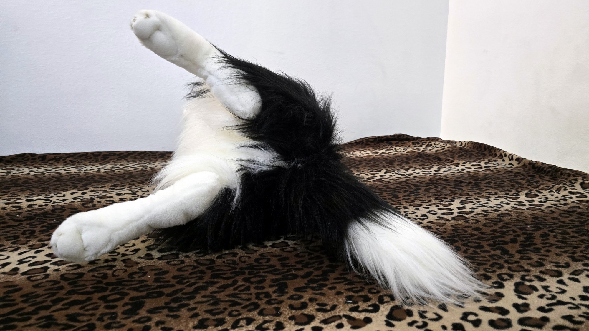 20260211_105602 (Copy)