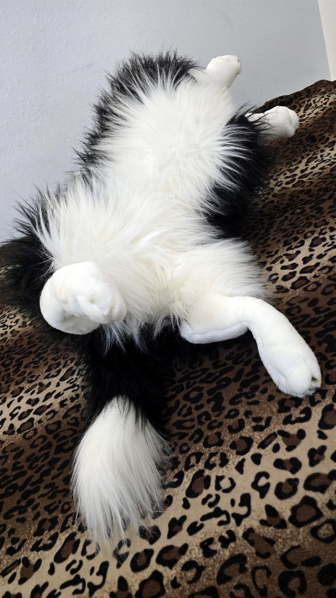 20260211_105615 (Copy)