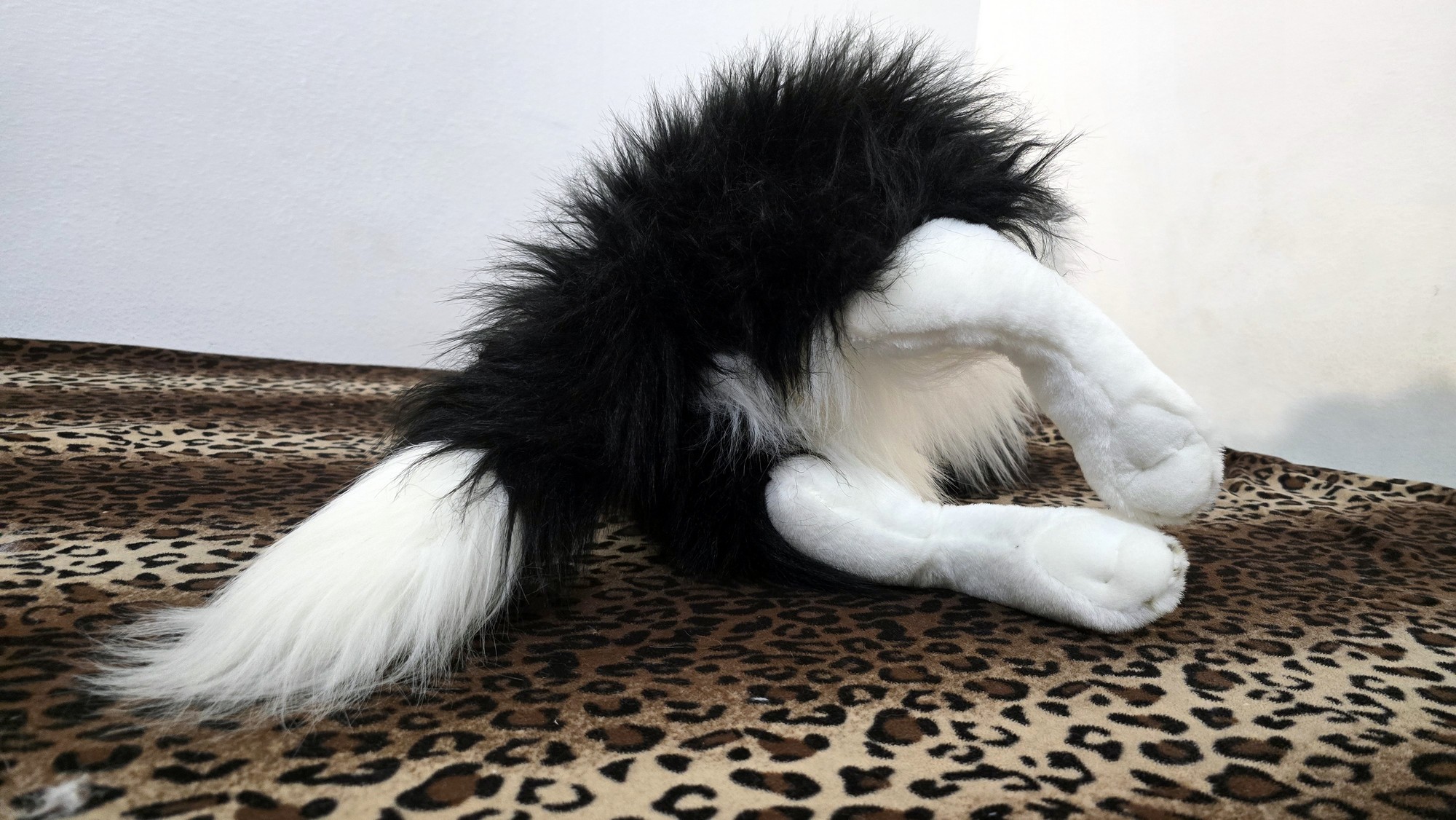 20260211_105622 (Copy)