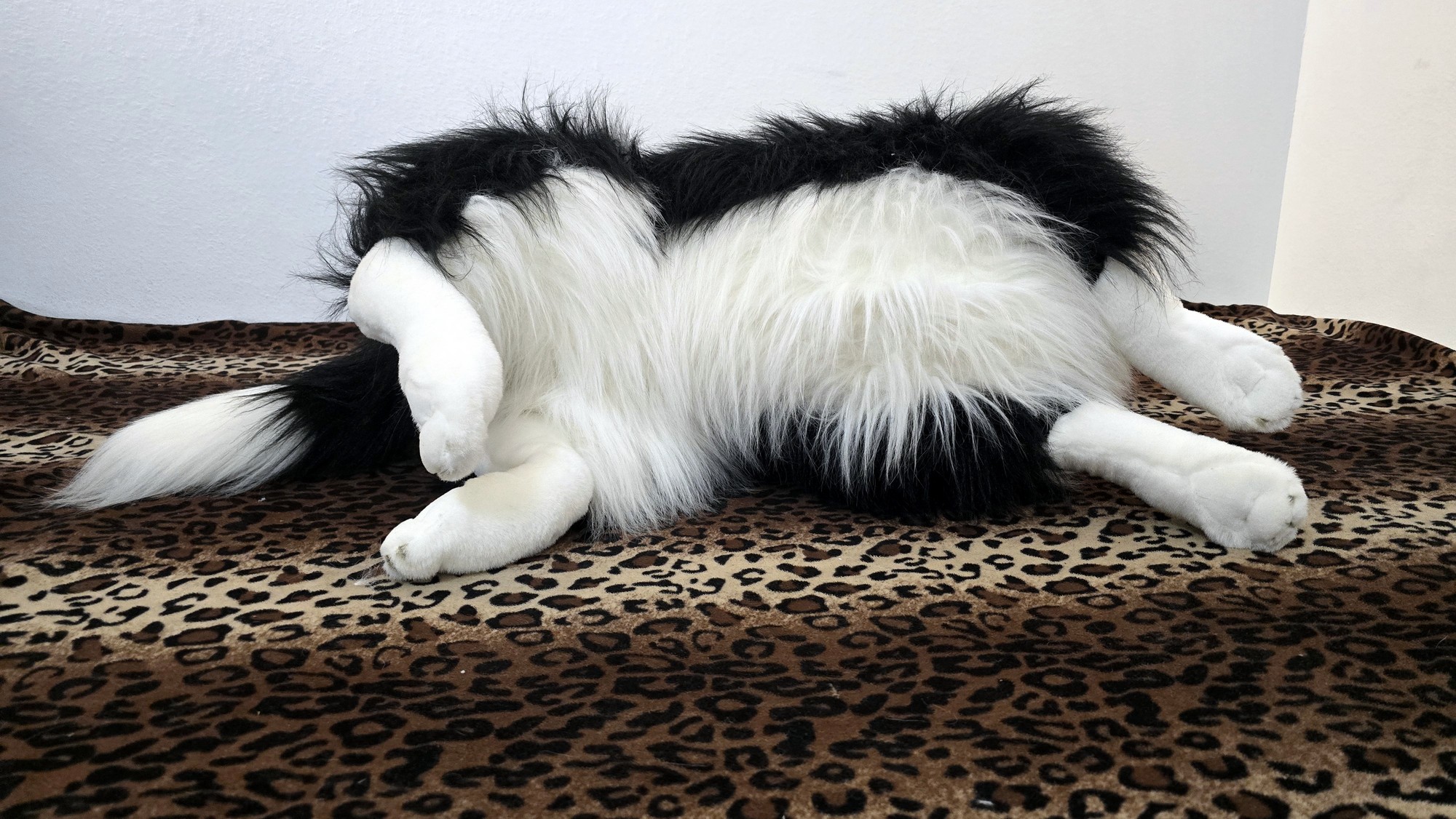 20260211_105630 (Copy)