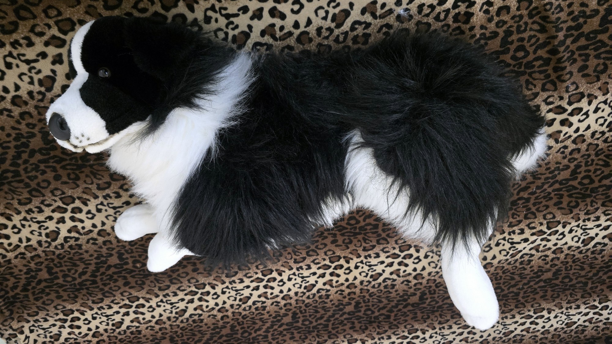 20260211_105647 (Copy)