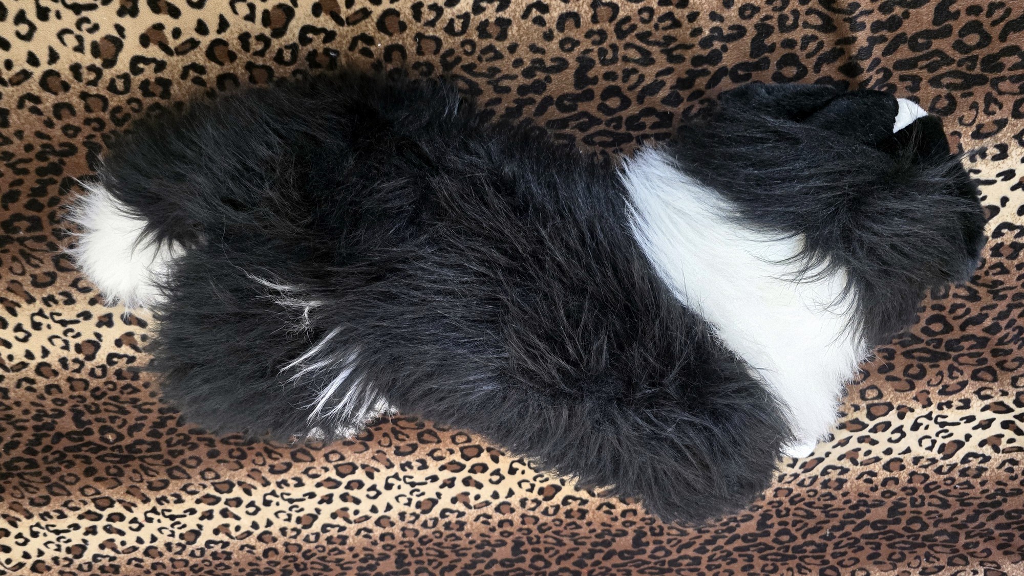 20260211_105659 (Copy)