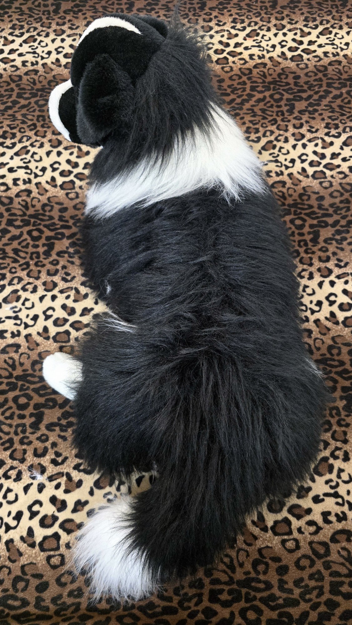 20260211_105706 (Copy)