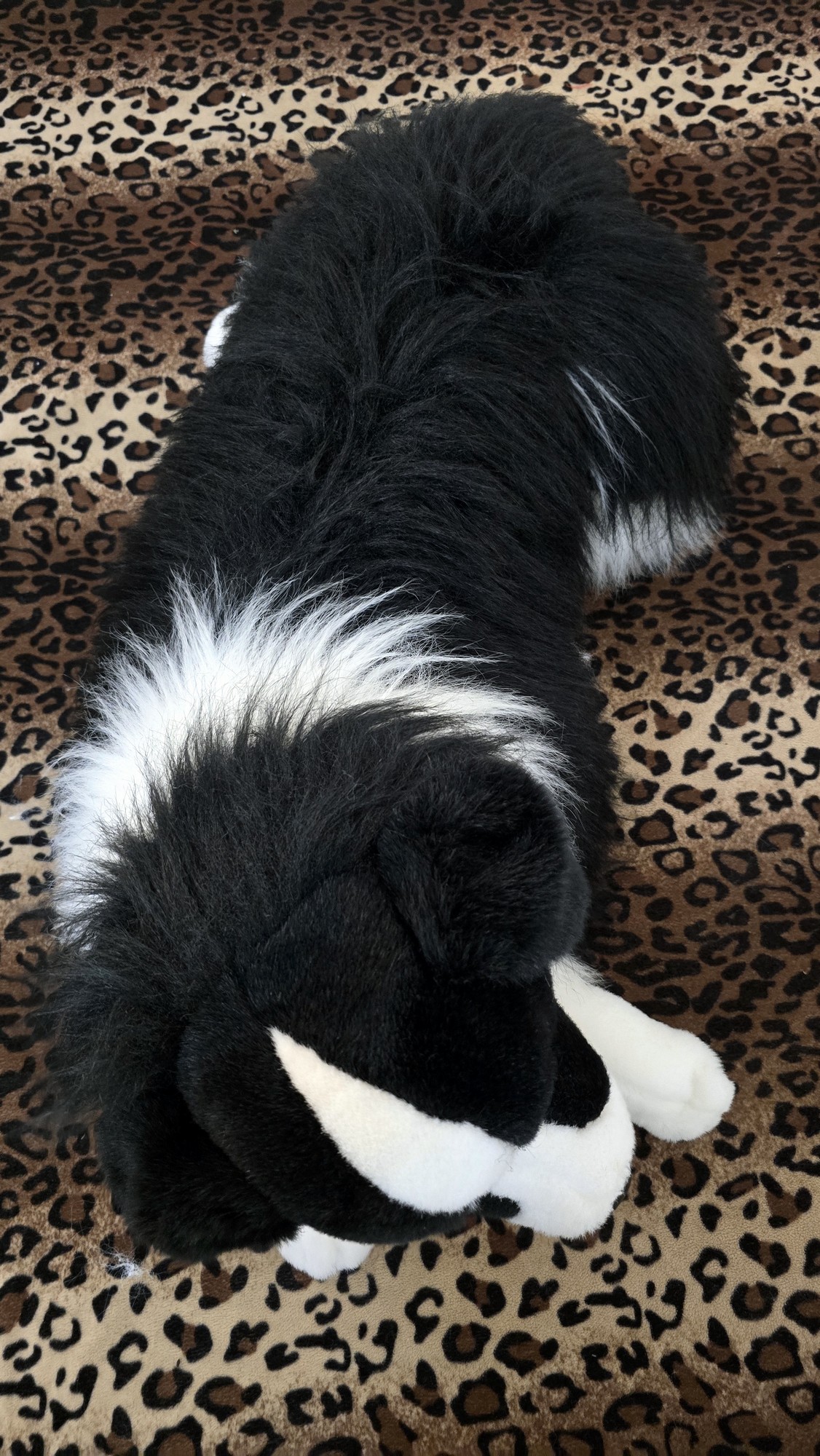 20260211_105712 (Copy)