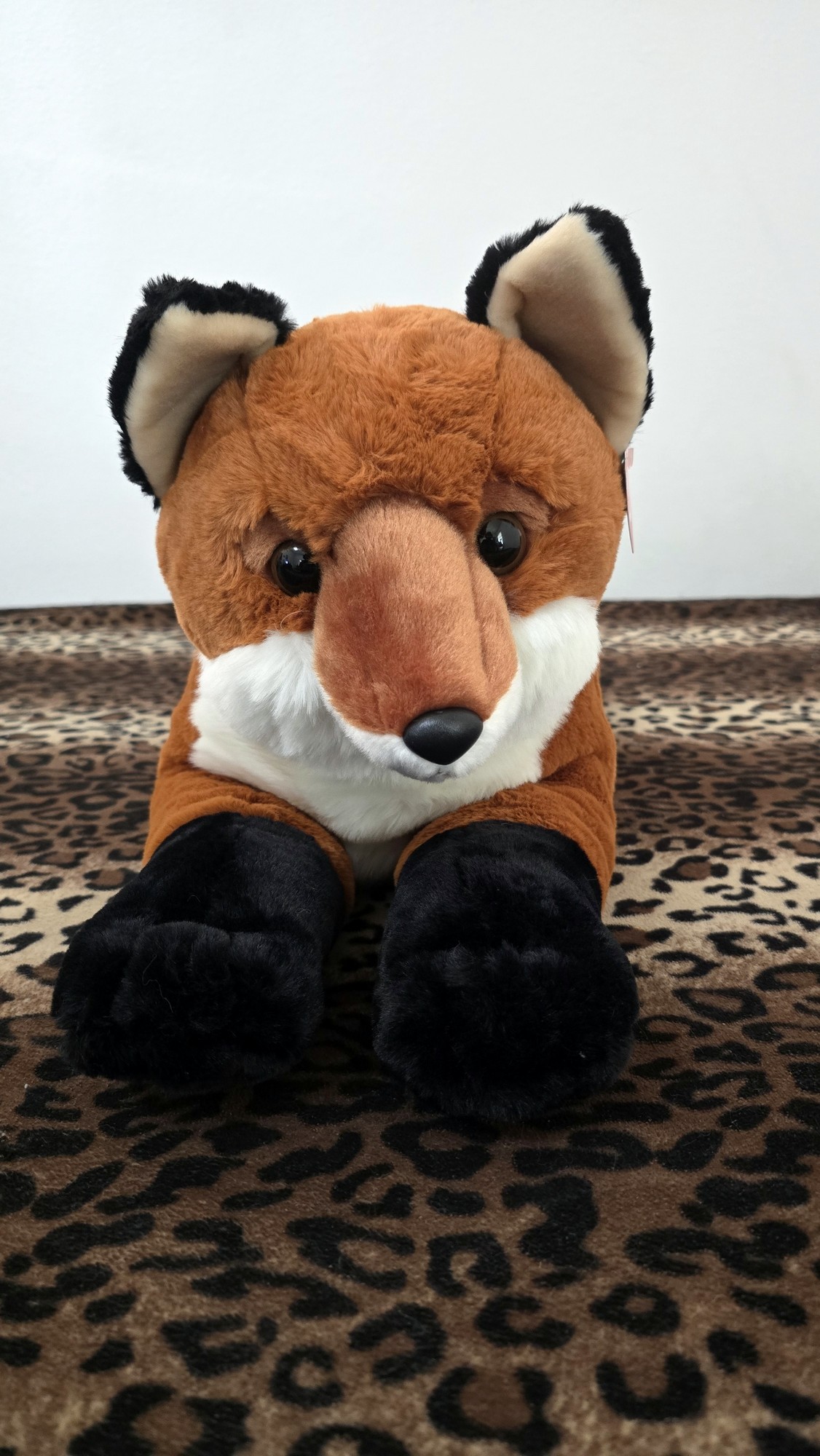 20260212_131745(0) (Copy)