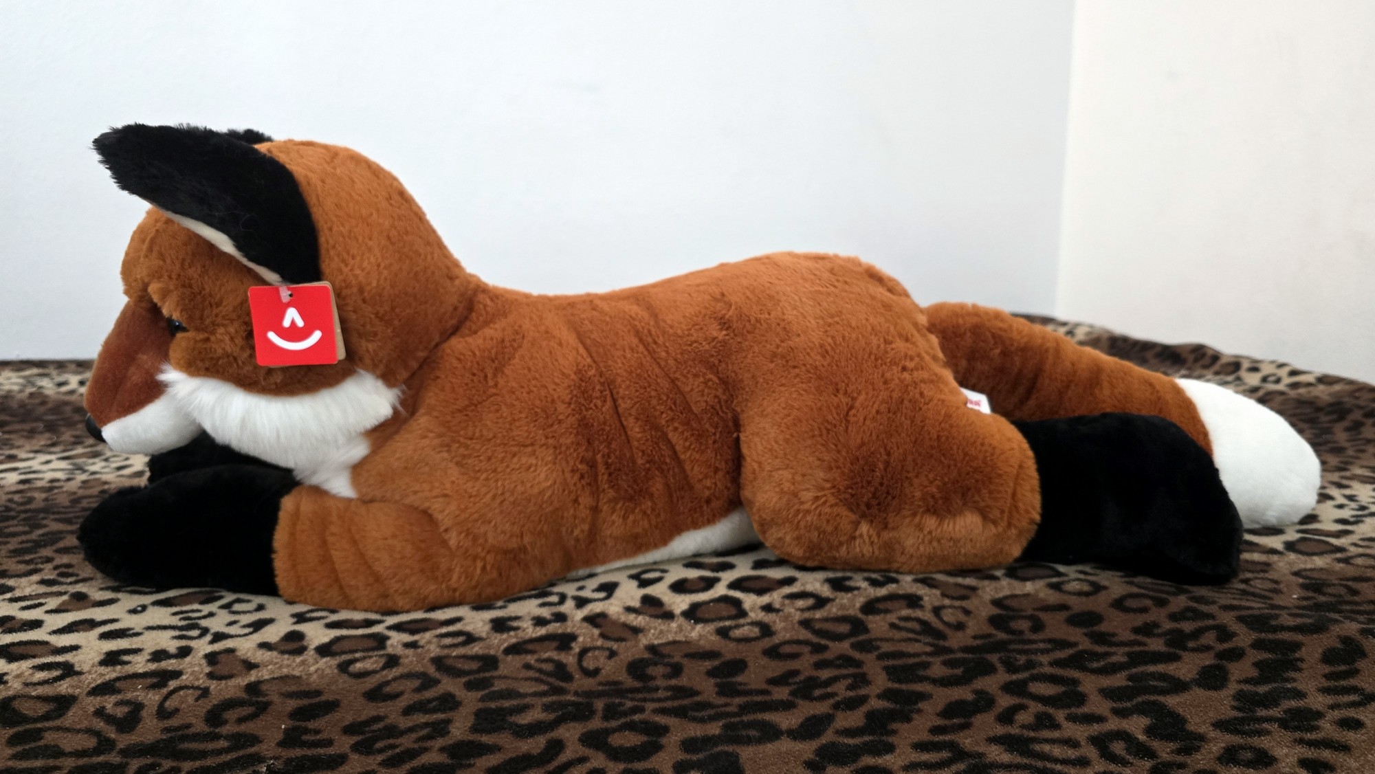 20260212_131751 (Copy)