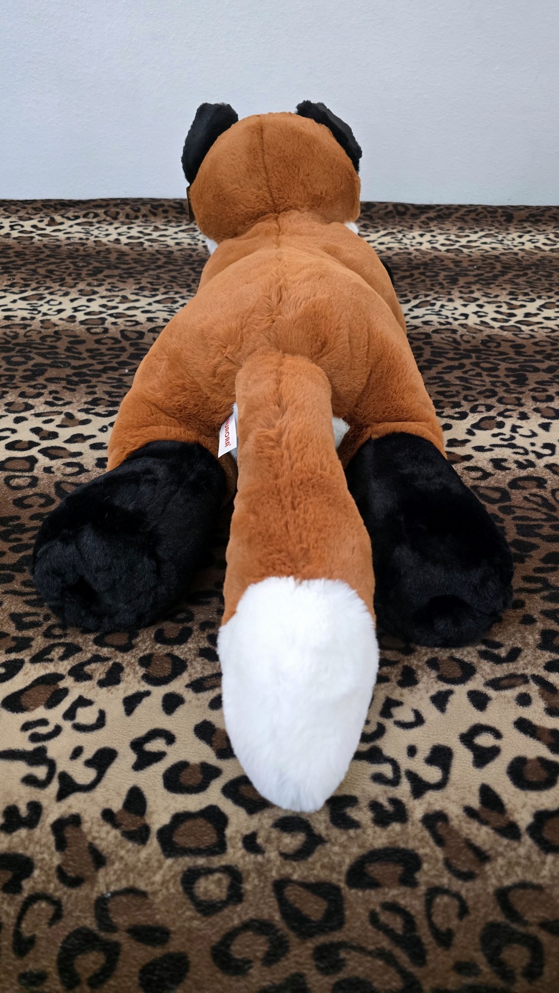 20260212_131818 (Copy)