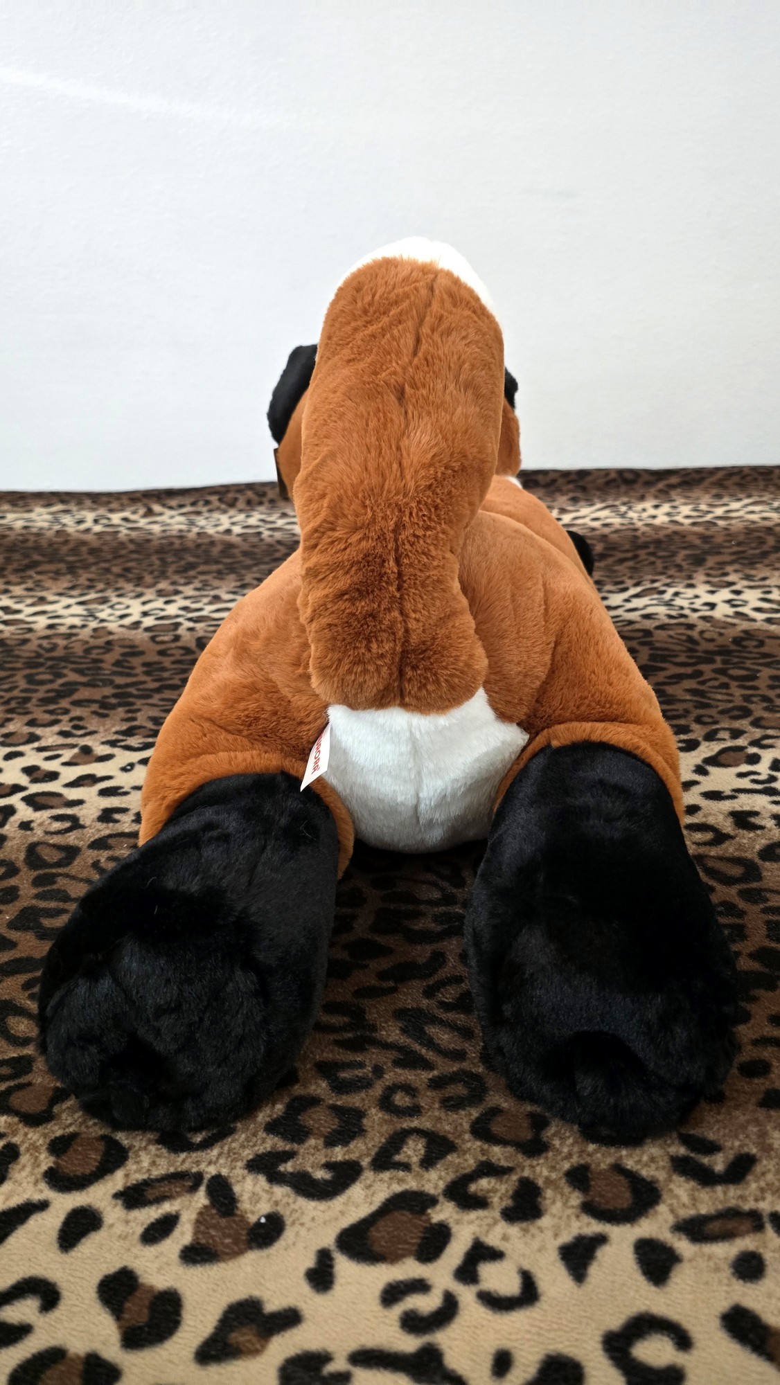 20260212_131836 (Copy)