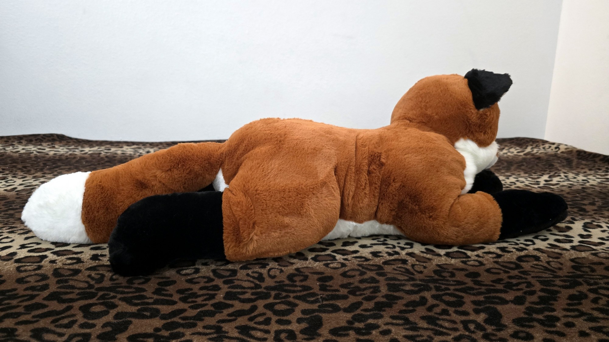 20260212_131842(0) (Copy)