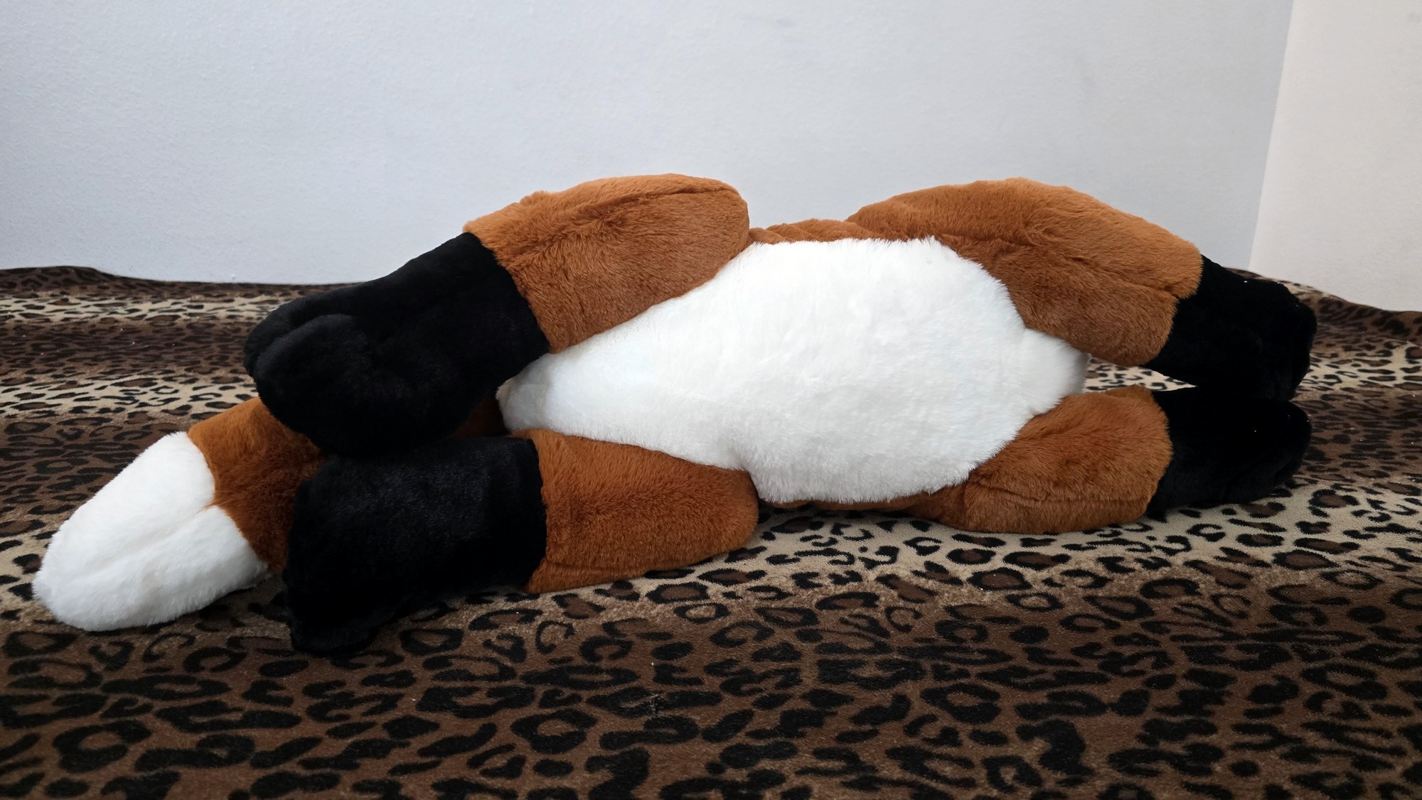 20260212_131847 (Copy)