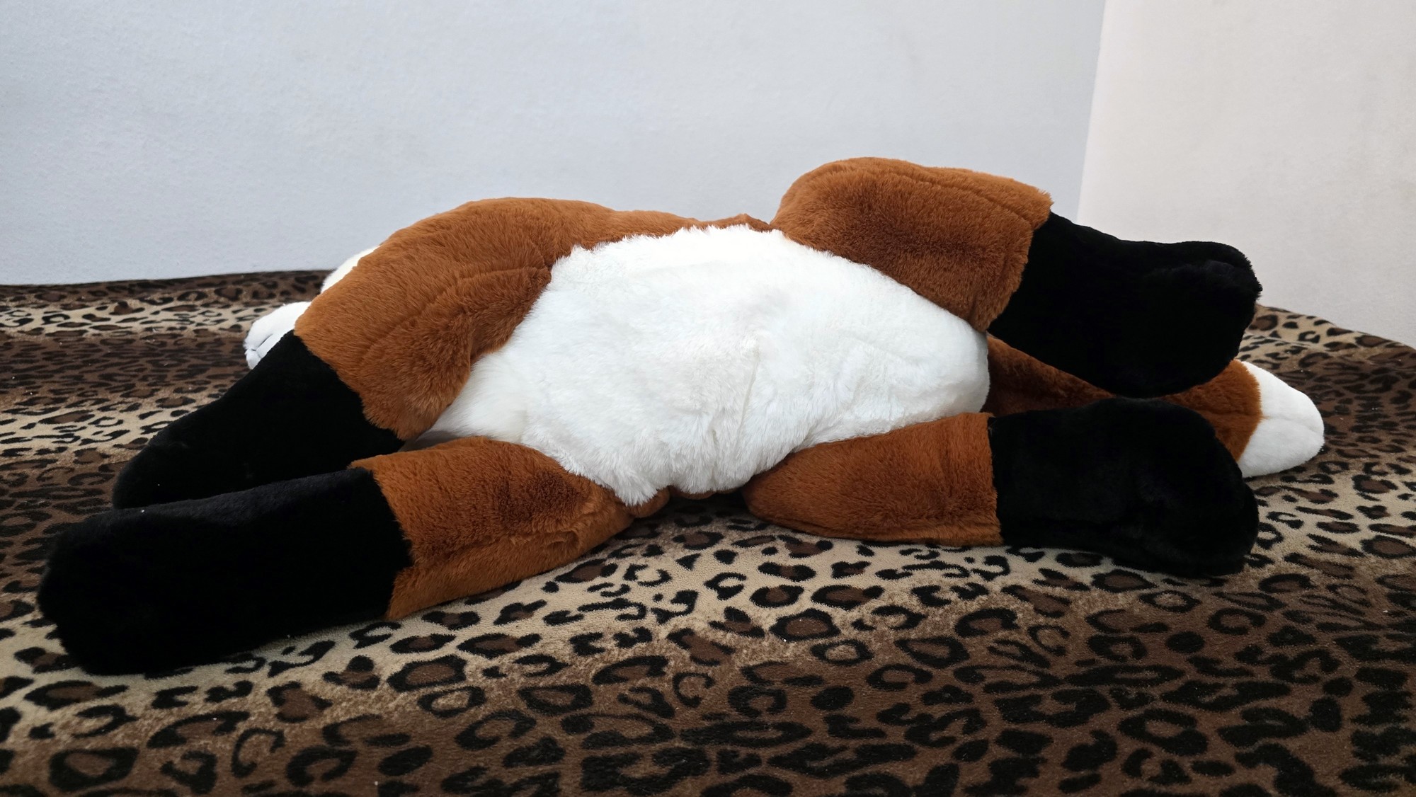 20260212_131851 (Copy)