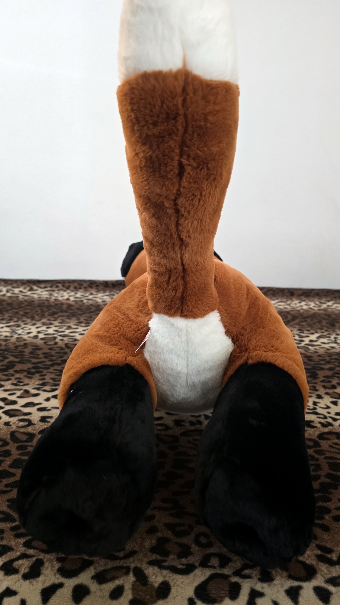 20260212_131901 (Copy)