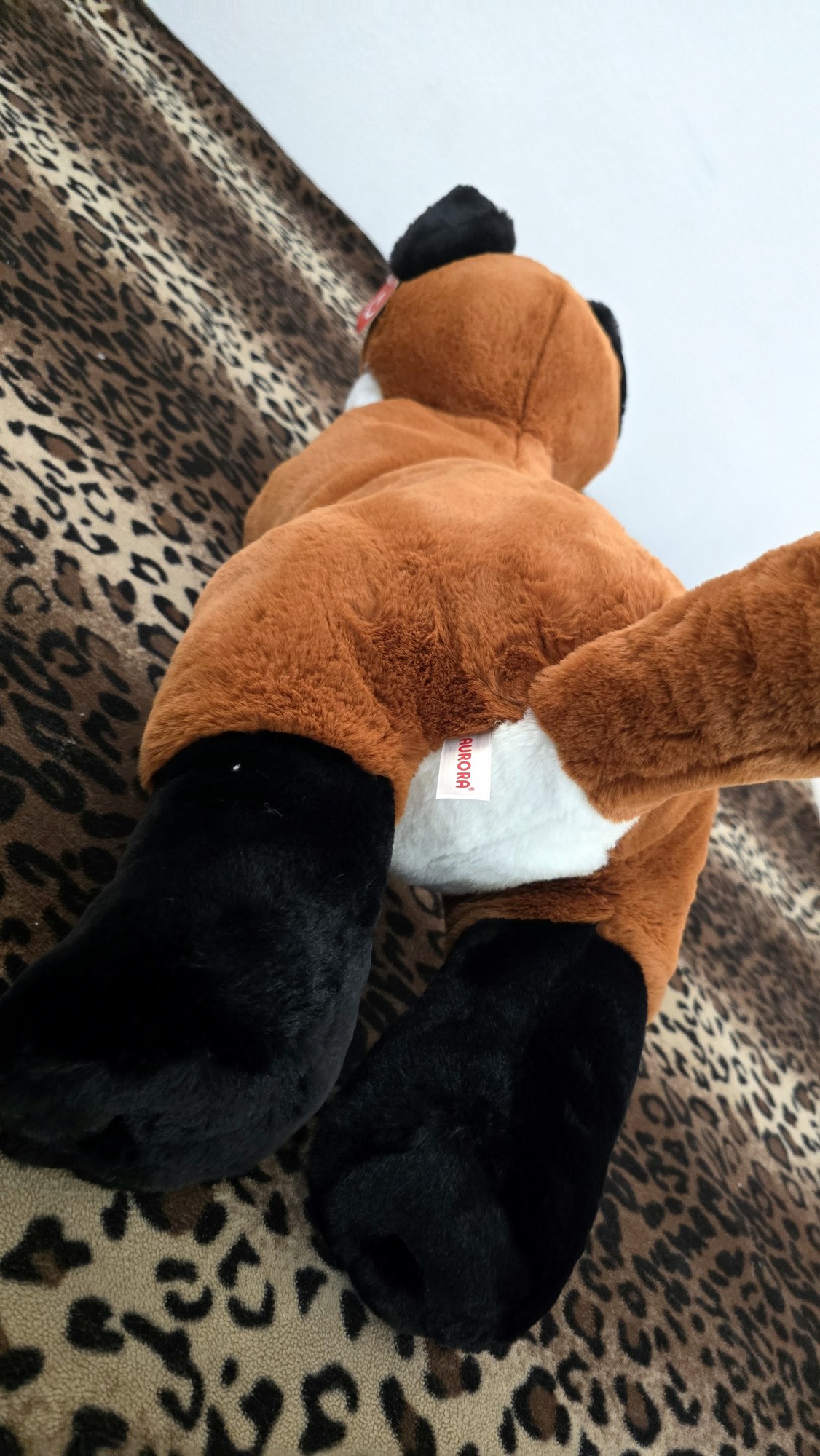 20260212_131903 (Copy)