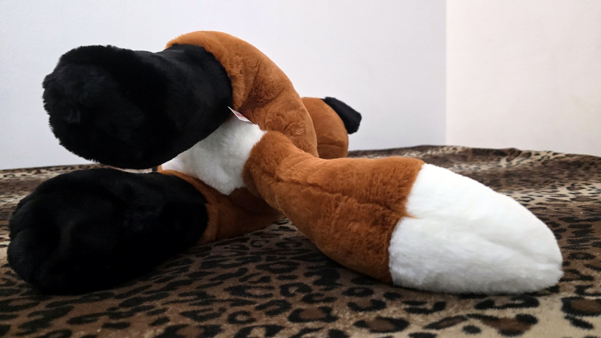 20260212_131909 (Copy)