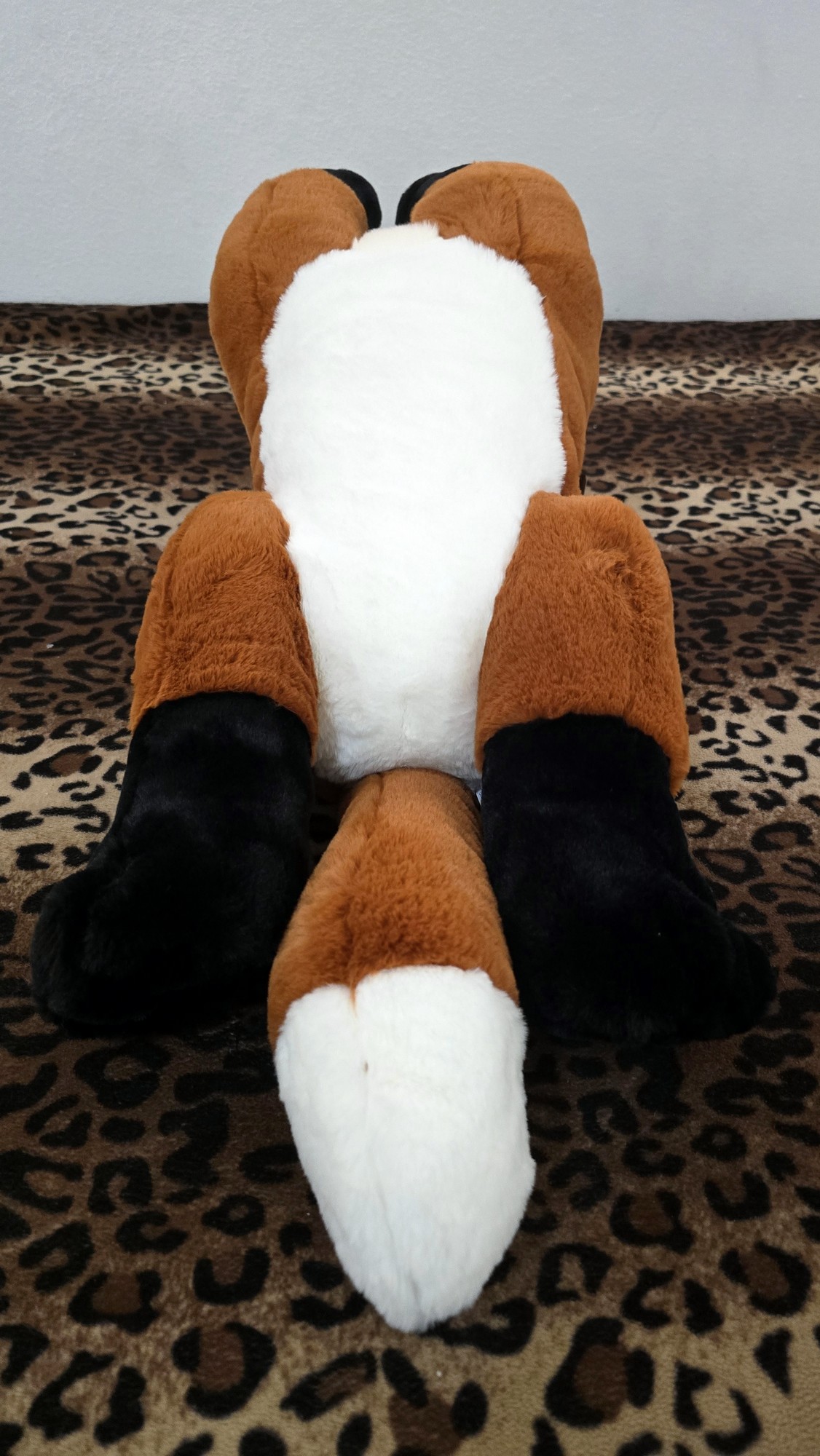 20260212_131918(0) (Copy)