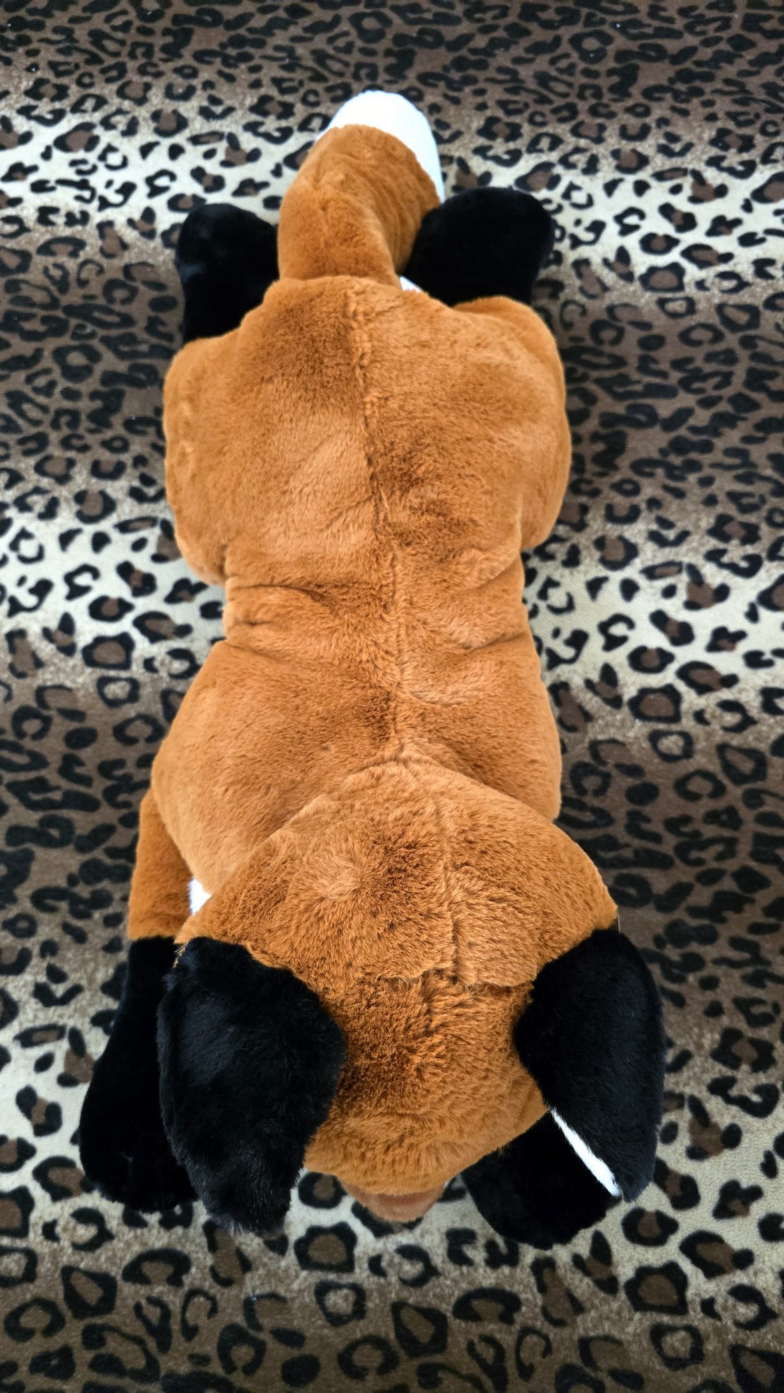 20260212_131935 (Copy)