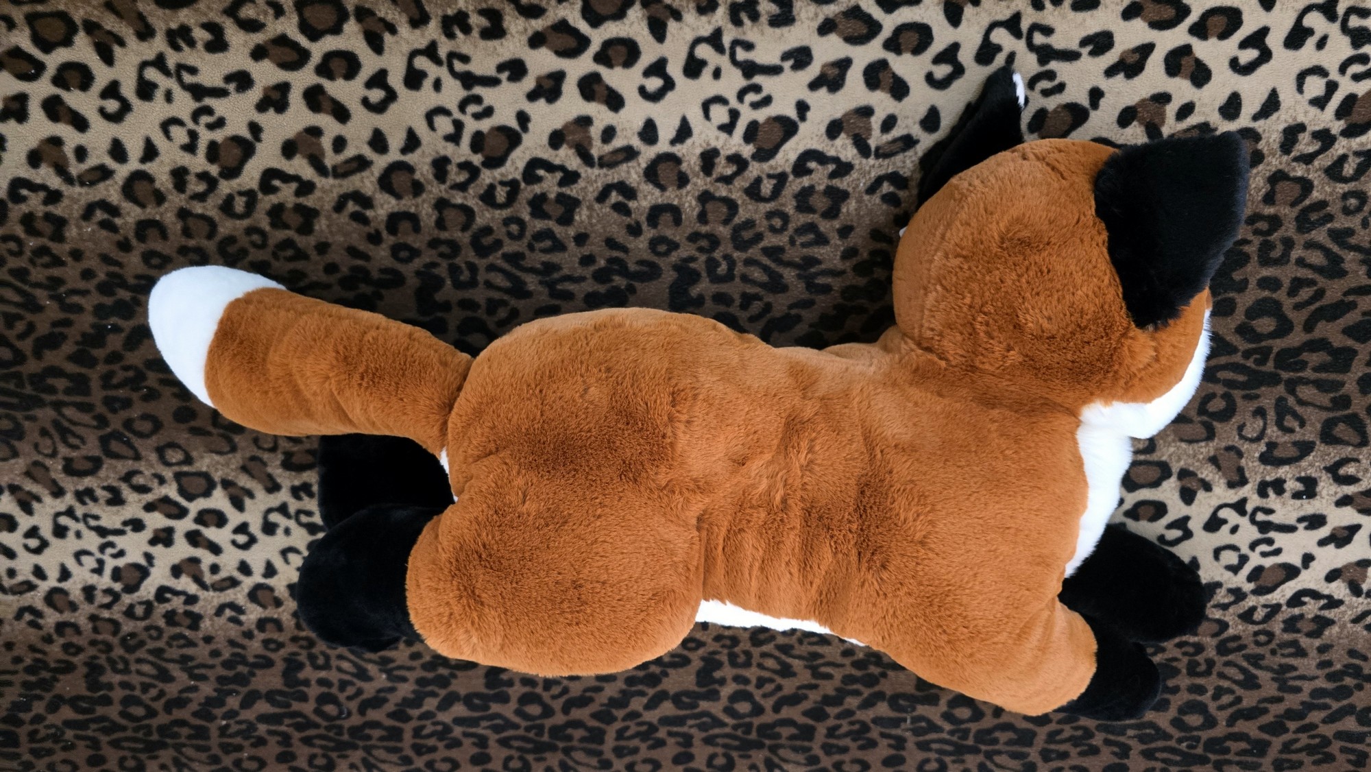 20260212_131951 (Copy)