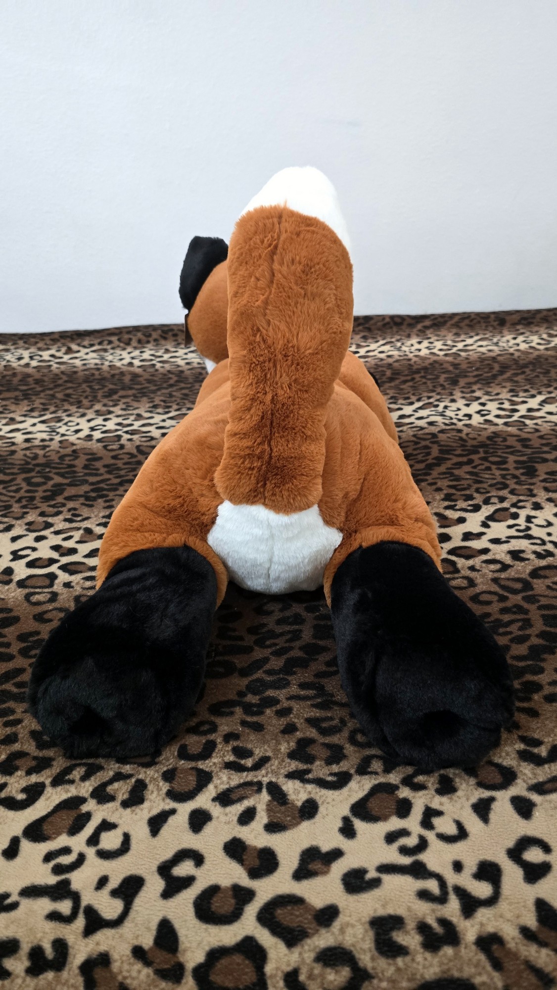 20260212_132106 (Copy)