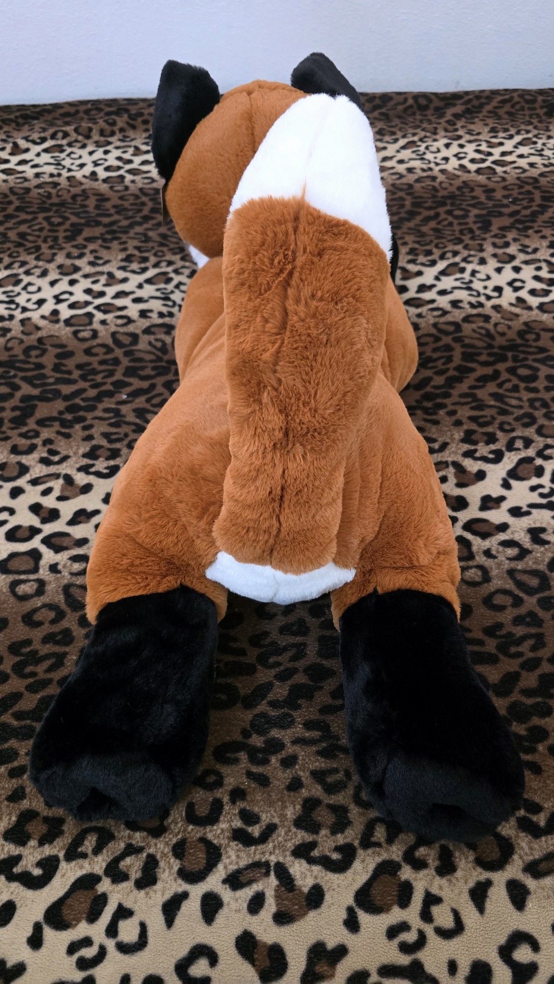 20260212_132110 (Copy)