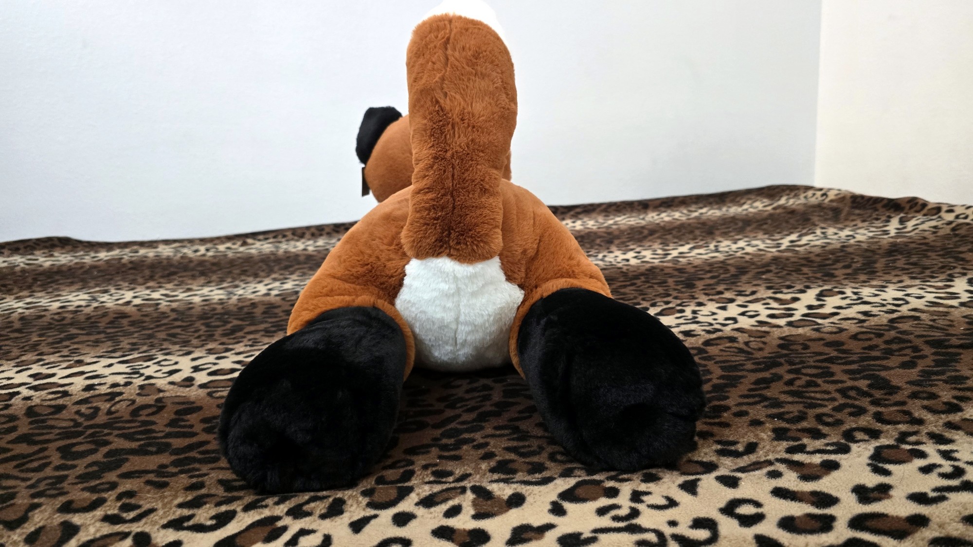 20260212_132113 (Copy)