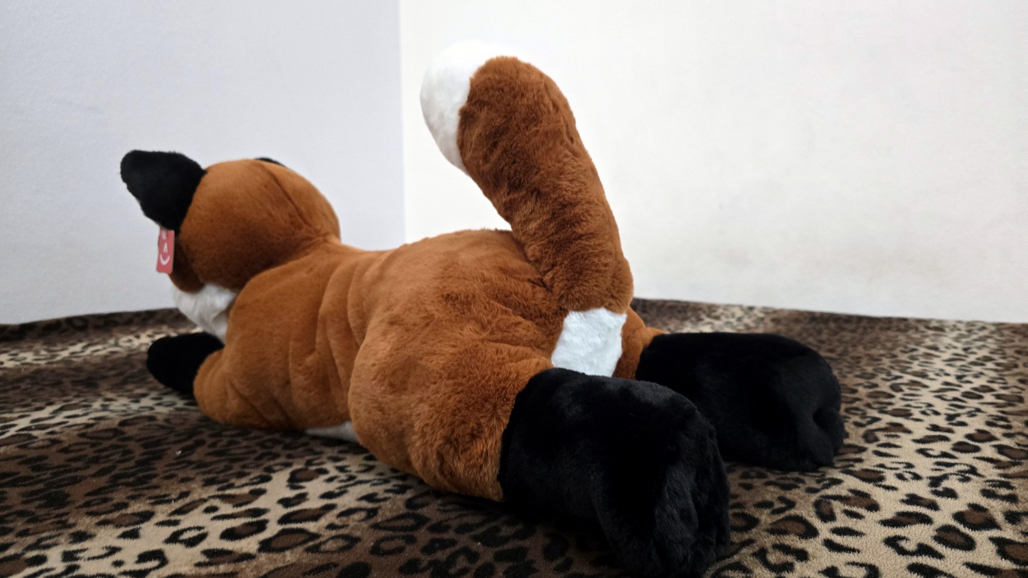 20260212_132116 (Copy)