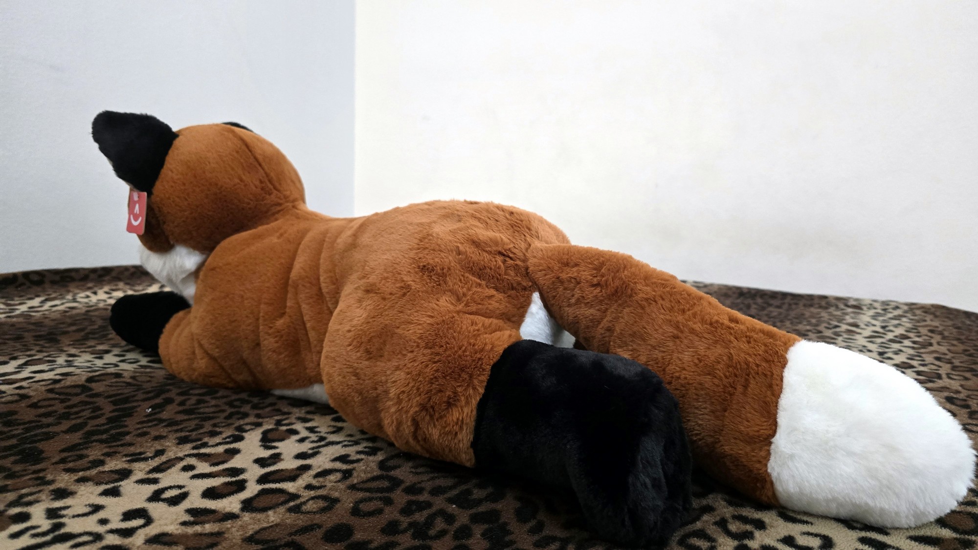 20260212_132120 (Copy)