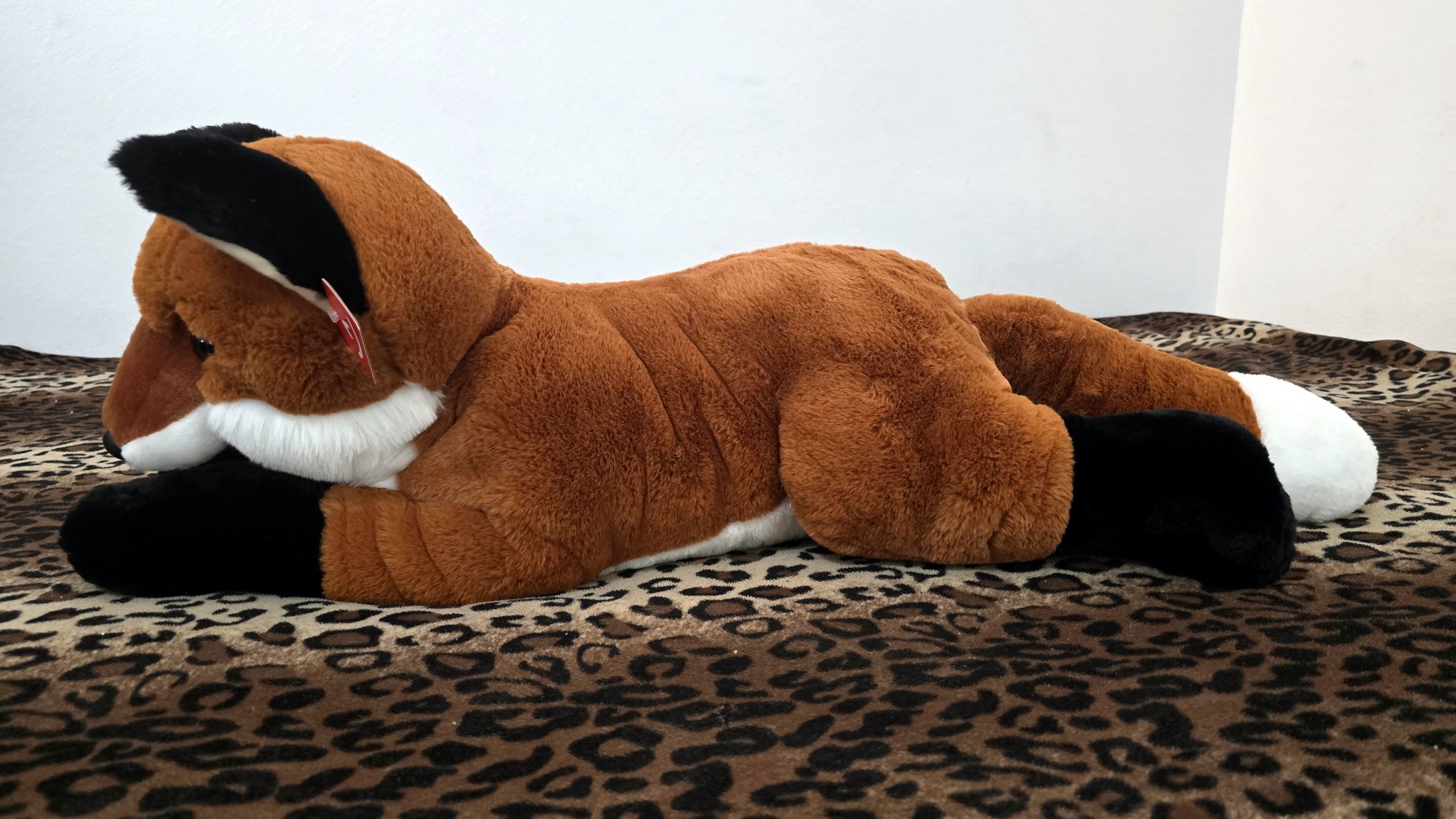 20260212_132125 (Copy)