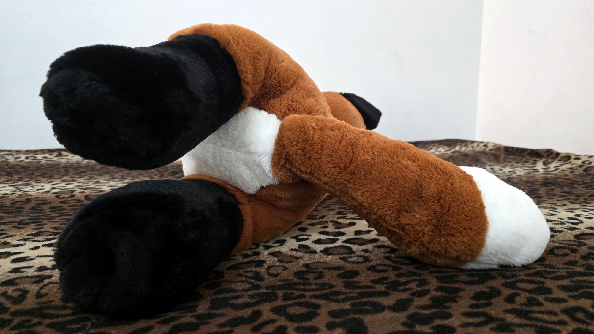 20260212_132131(0) (Copy)